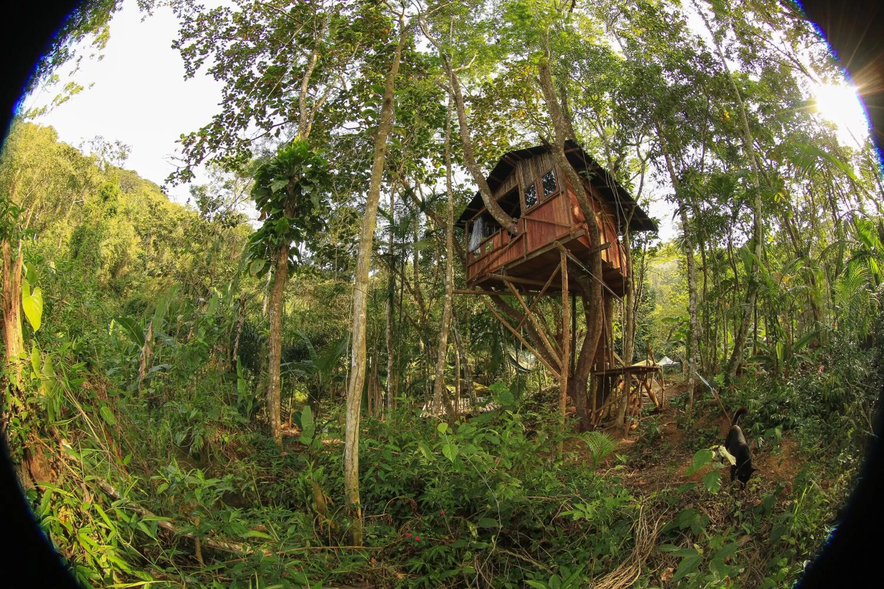 Natural landscape in Sitio Simple Life