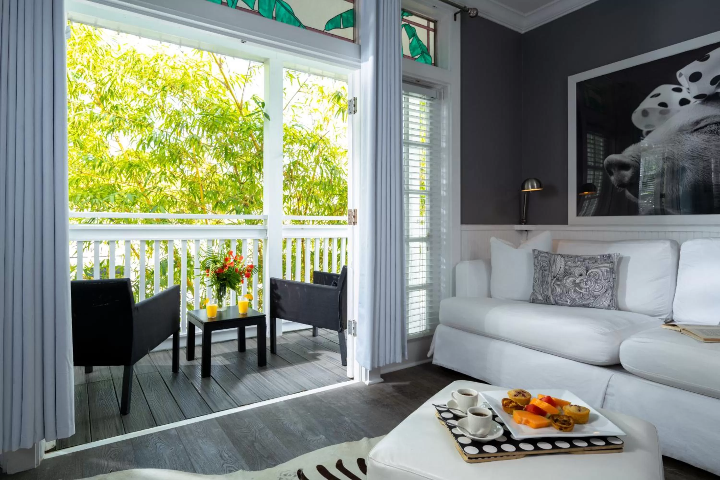 Alexander's Gay Lesbian Guesthouse (Adult Only 21+)