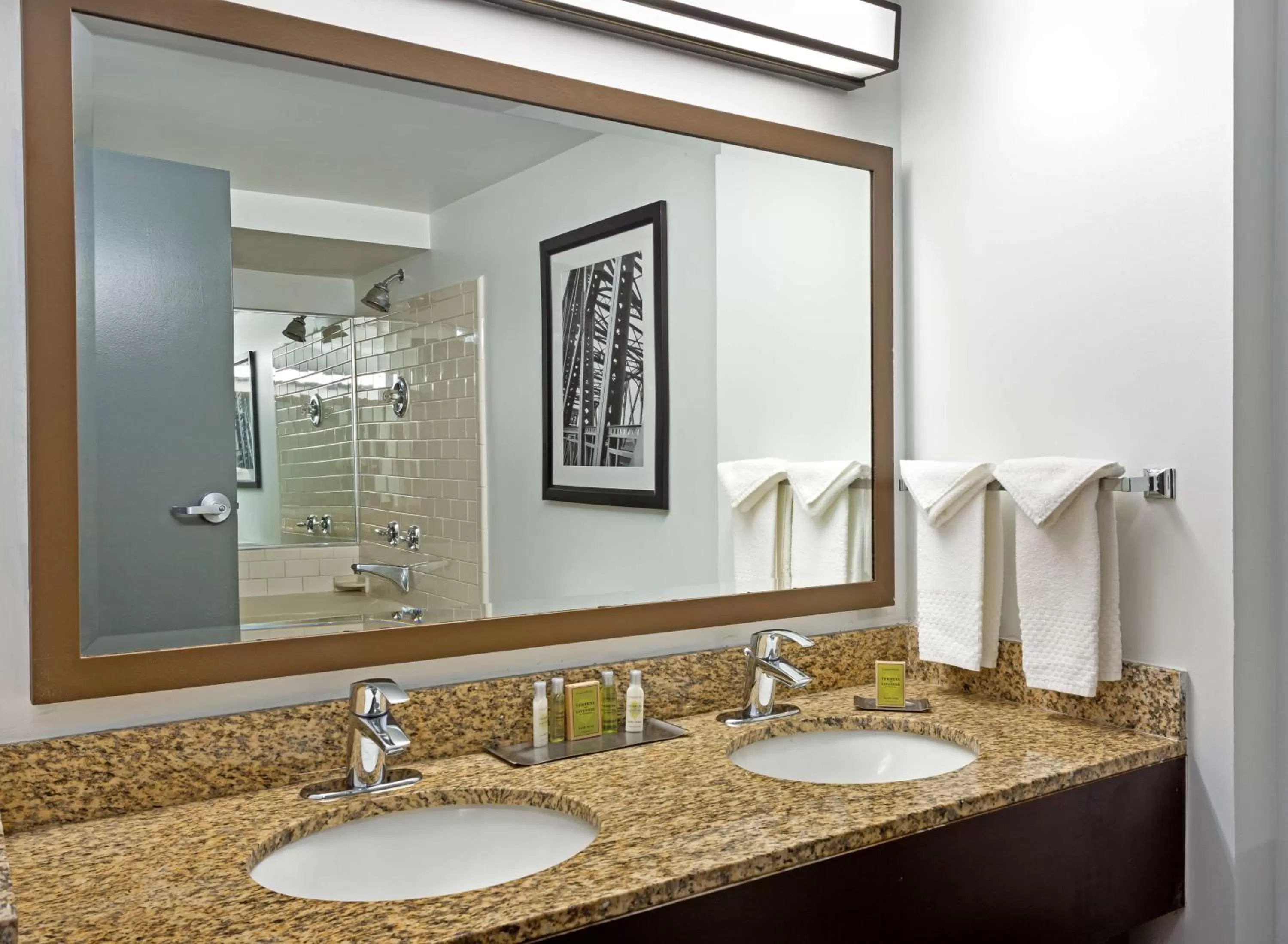 Bathroom in DoubleTree by Hilton Washington Meadow Lands Casino Area