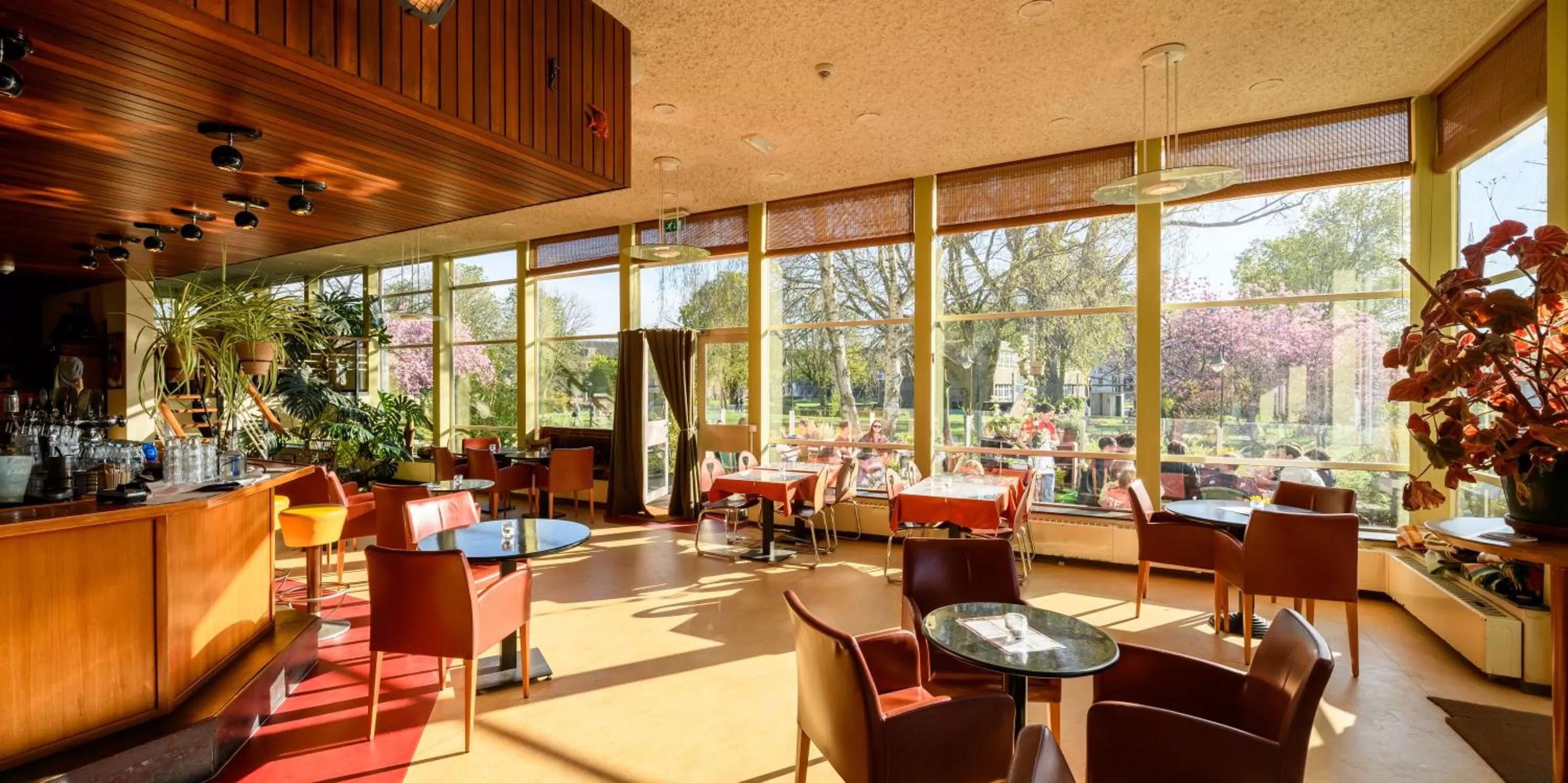 Restaurant/places to eat in Pension Homeland