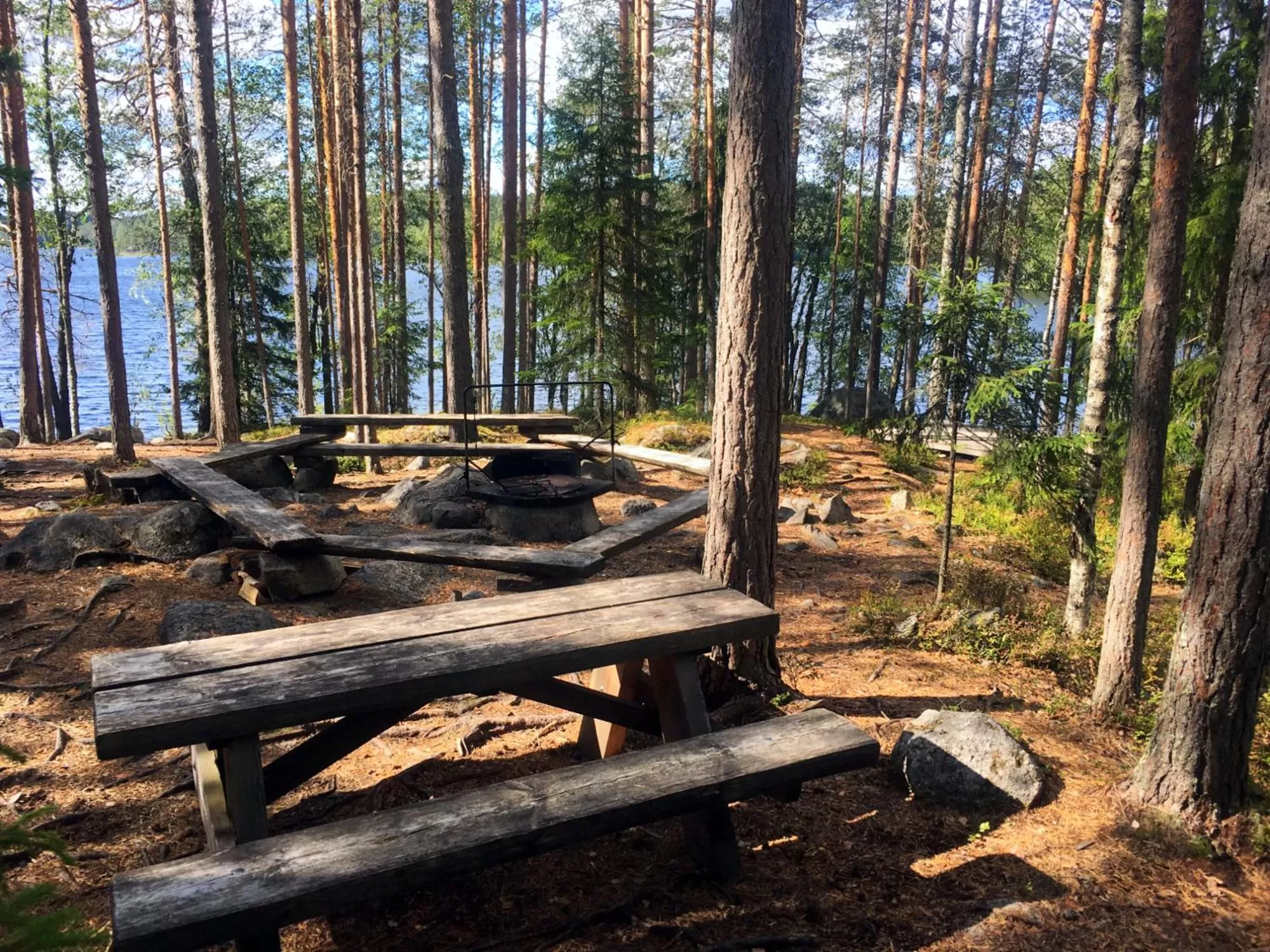 Natural landscape in Olo Center by Kolovesi National Park