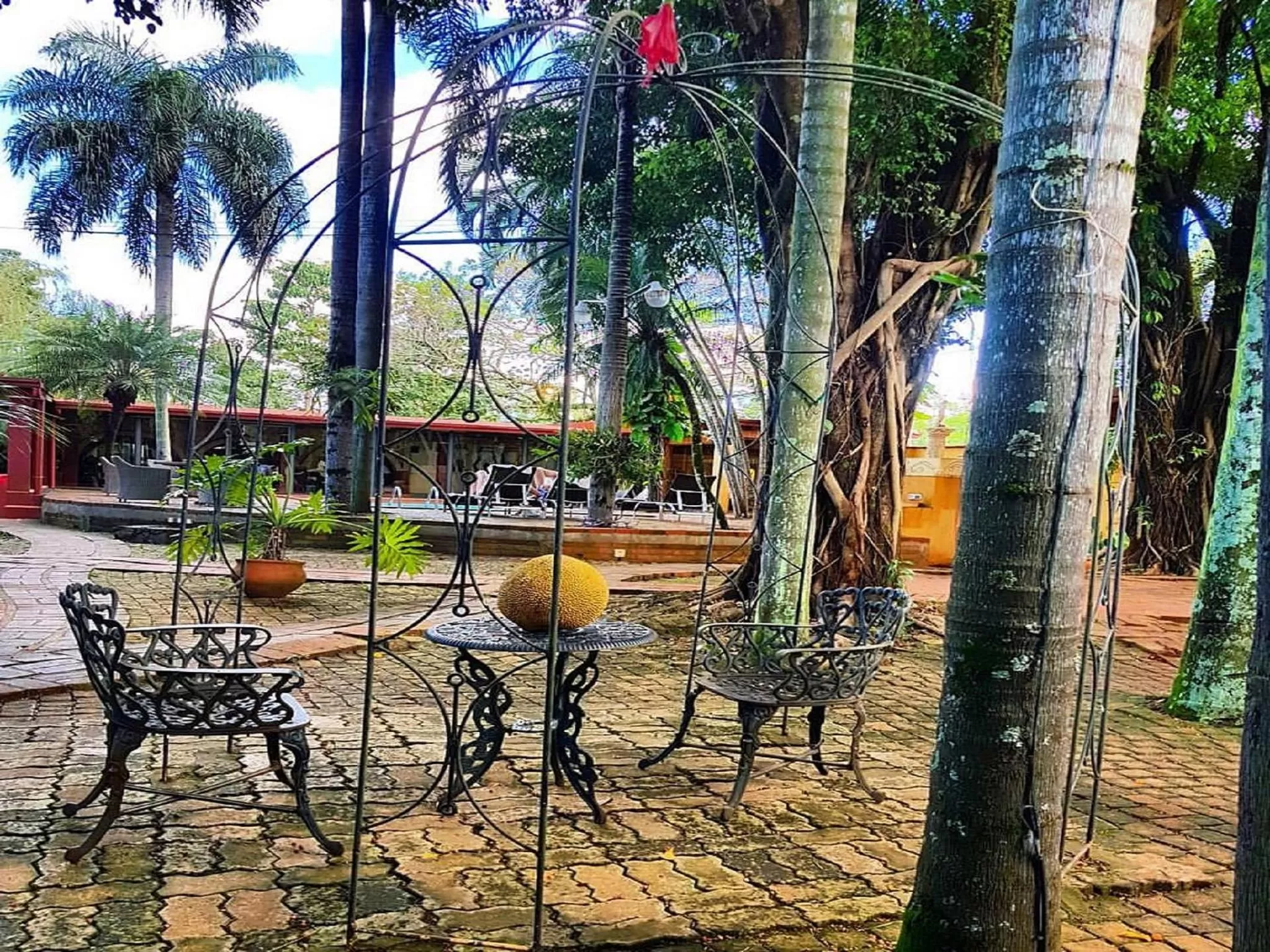 Garden in Boutique Hotel De La Fonte & Restaurant