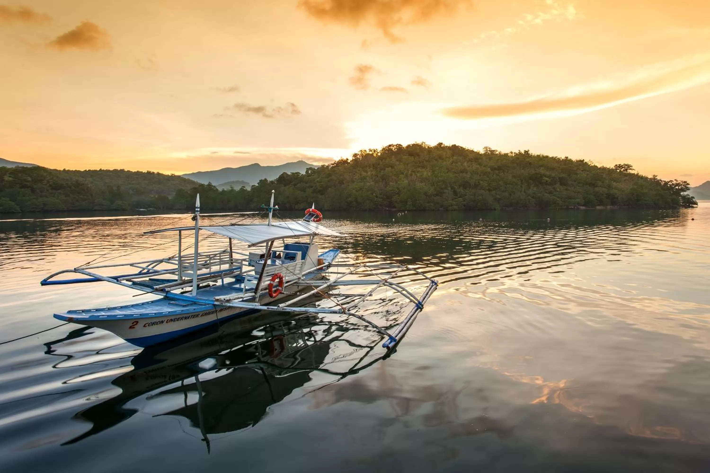 Coron Underwater Garden Resort
