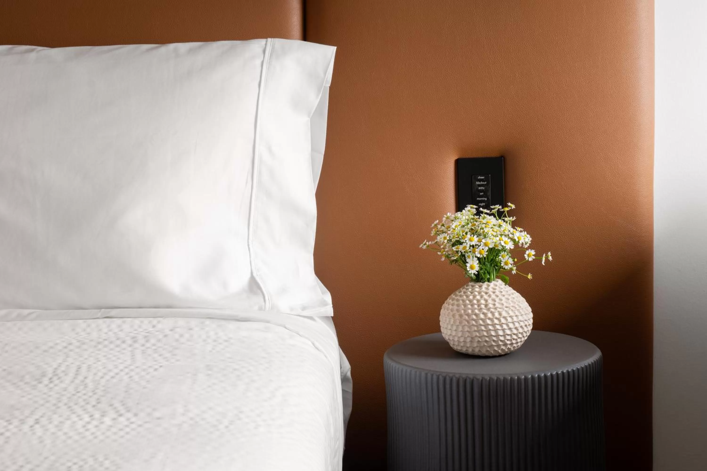 Bed in Hotel Marcel New Haven, Tapestry Collection By Hilton