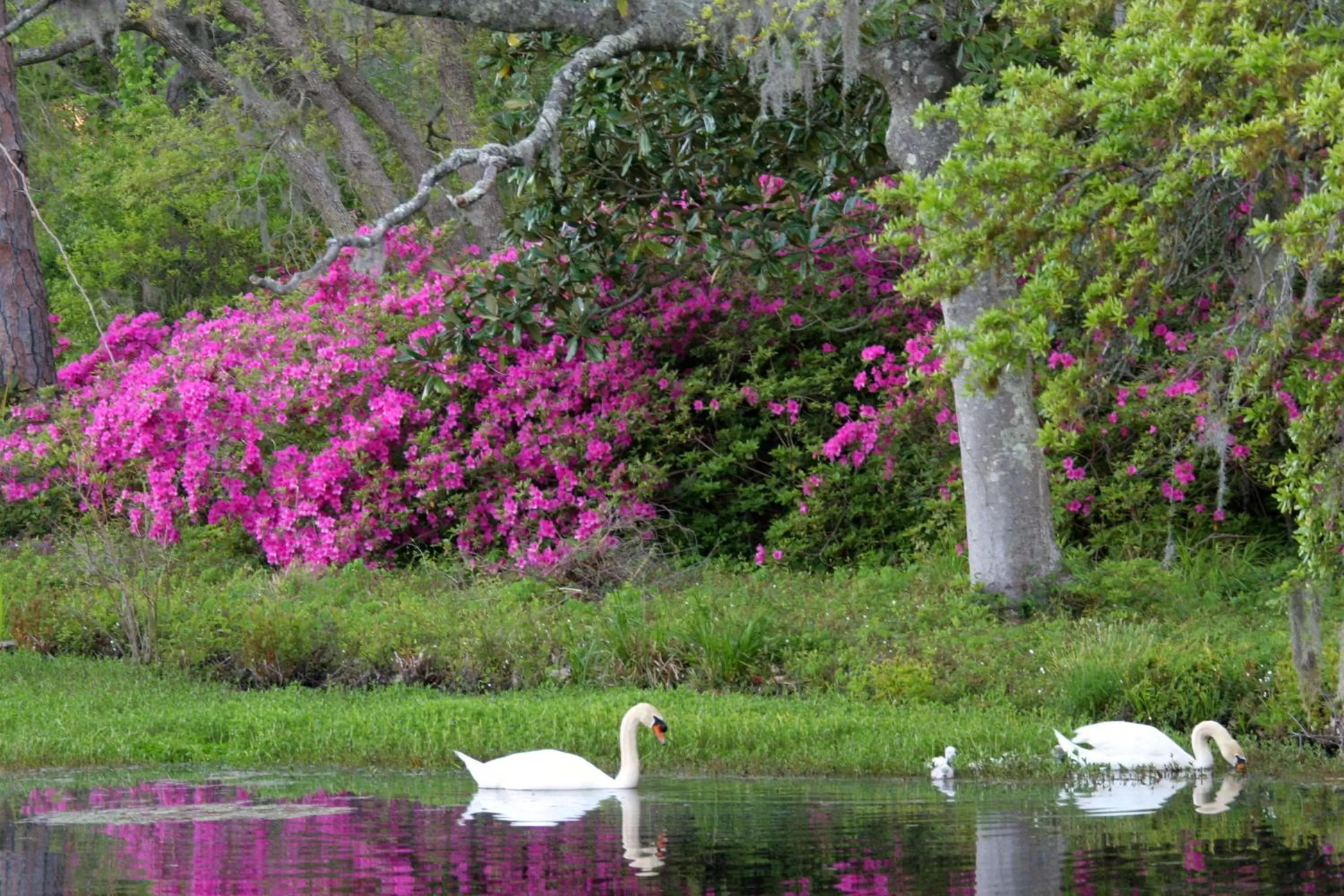 Property building in Hilton Garden Inn Wilmington Mayfaire Town Center