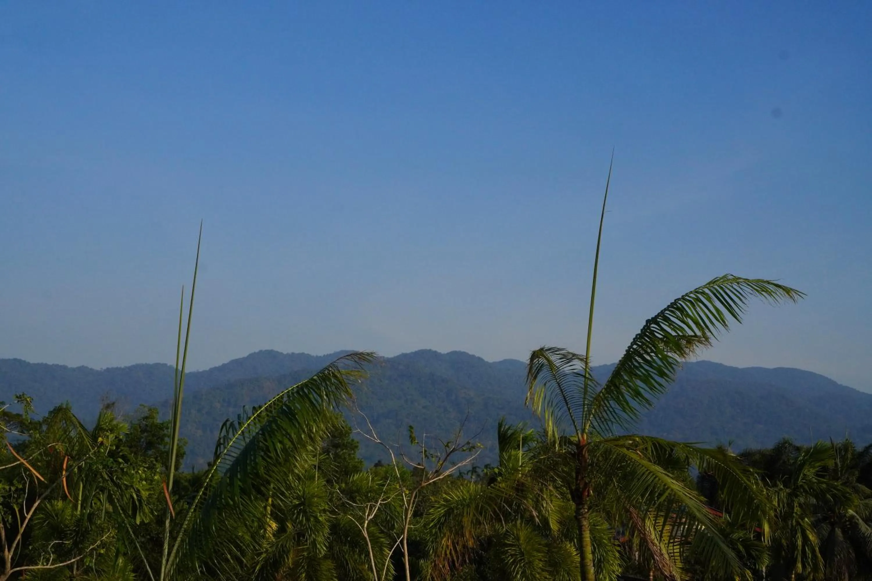 Natural Landscape in Green Terrace Resort & Restaurant