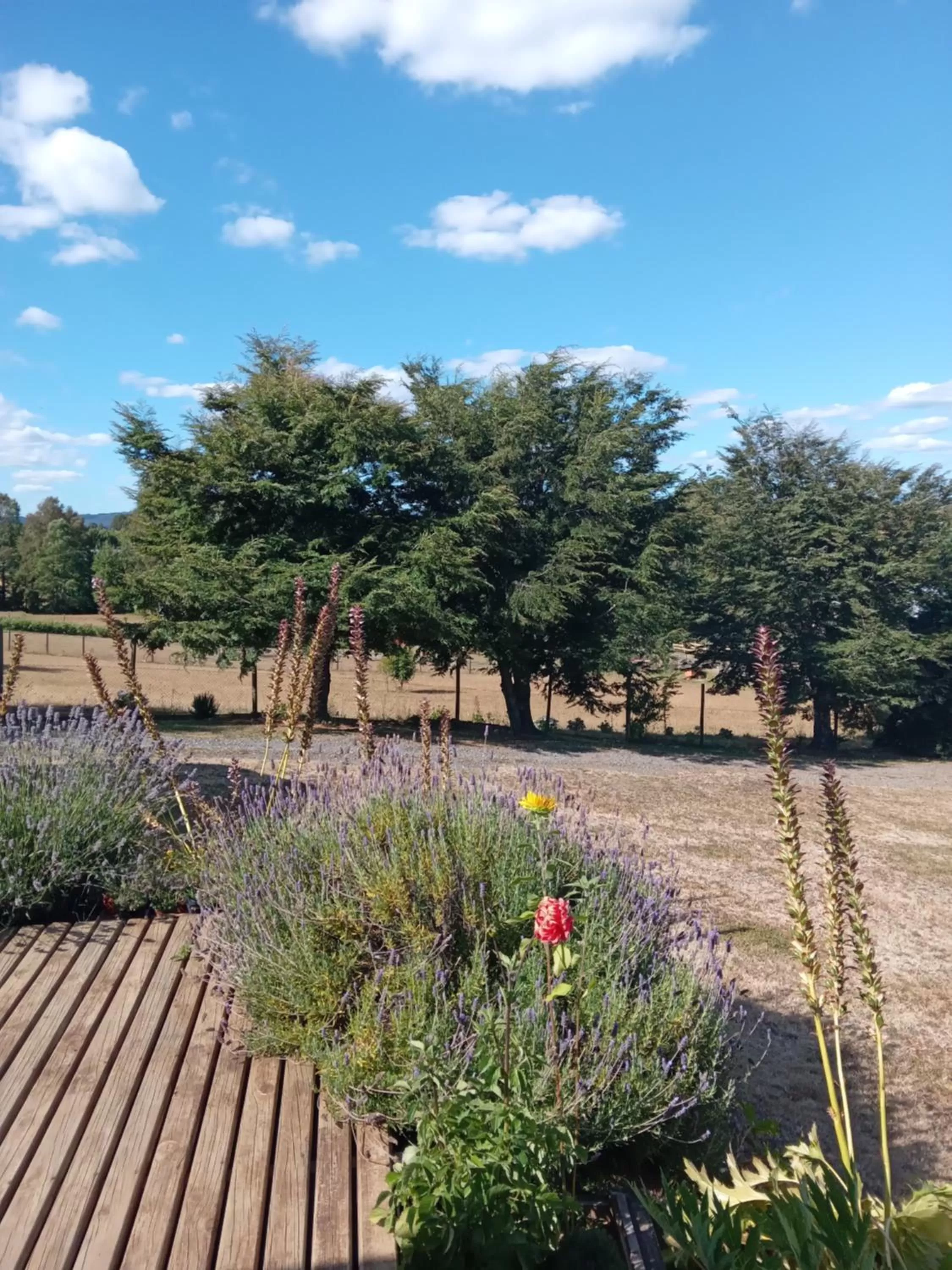 Hostal Parcela 47 villarrica