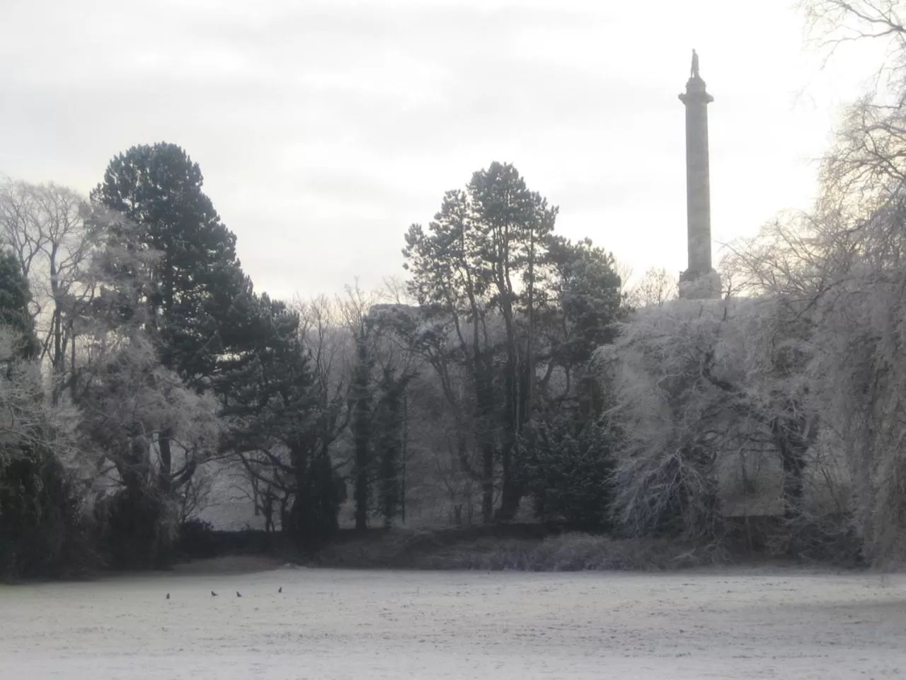 Garden in Mansion House Hotel