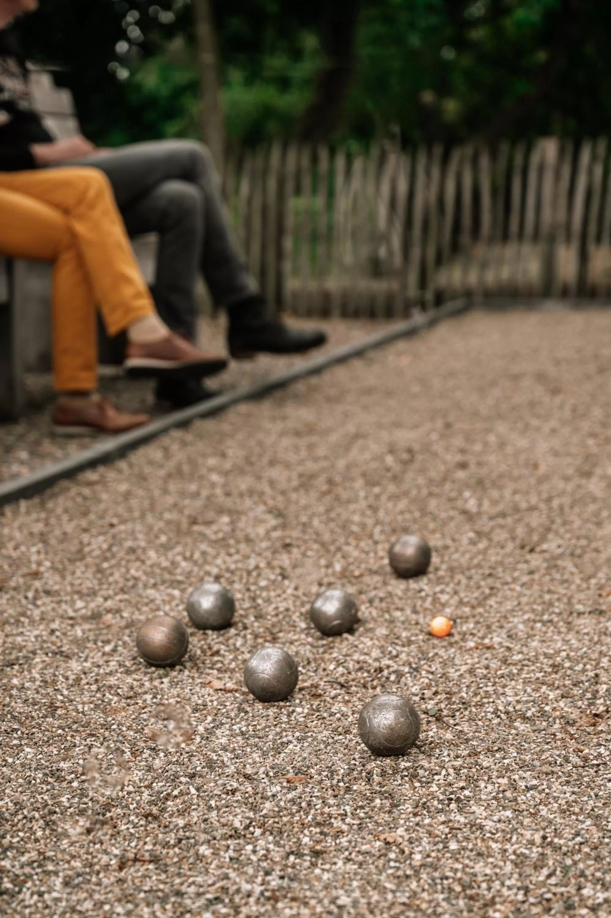 Other Activities in Hotel-Herberg D'n Dries