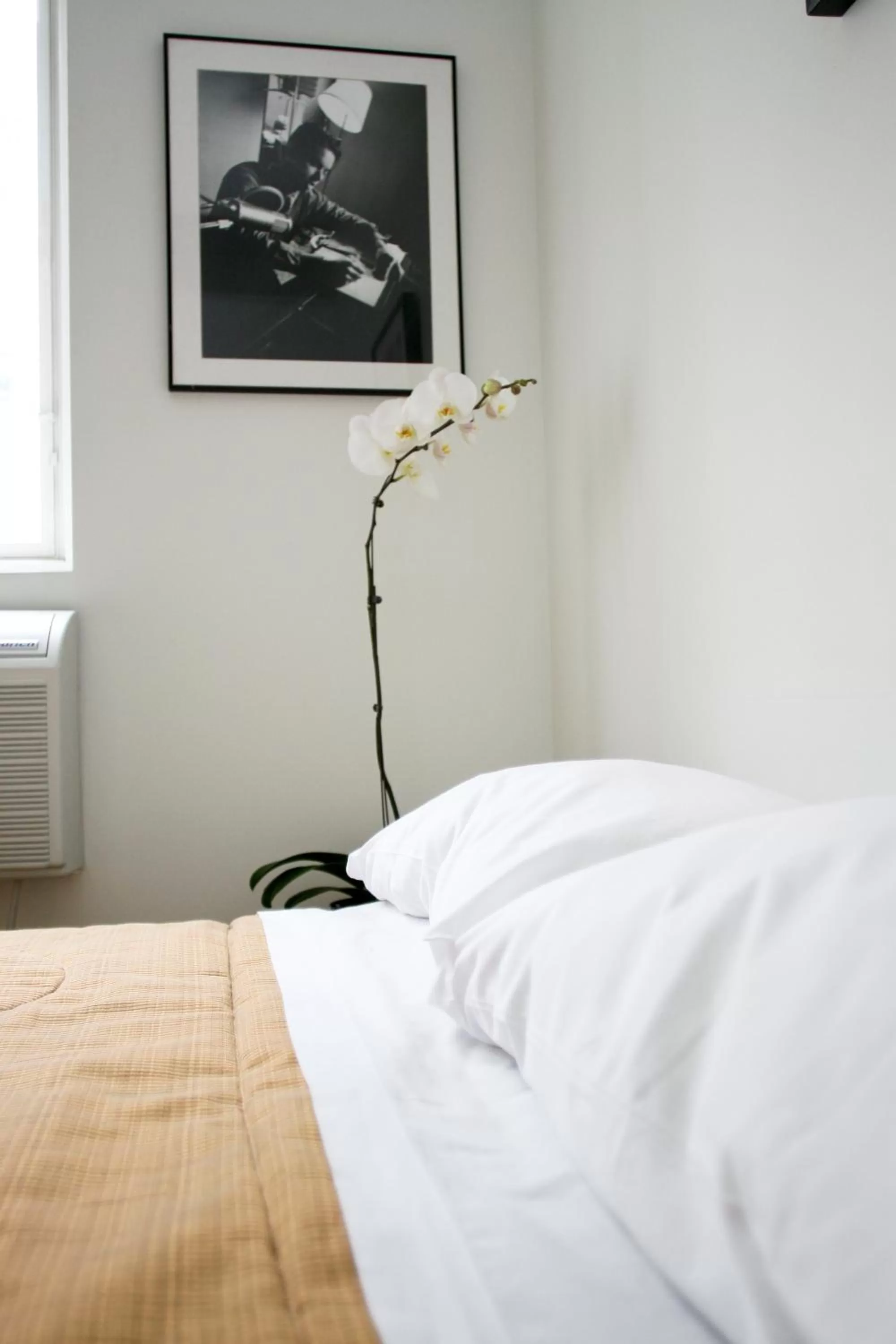 Bed in The Rex Hotel Jazz & Blues Bar