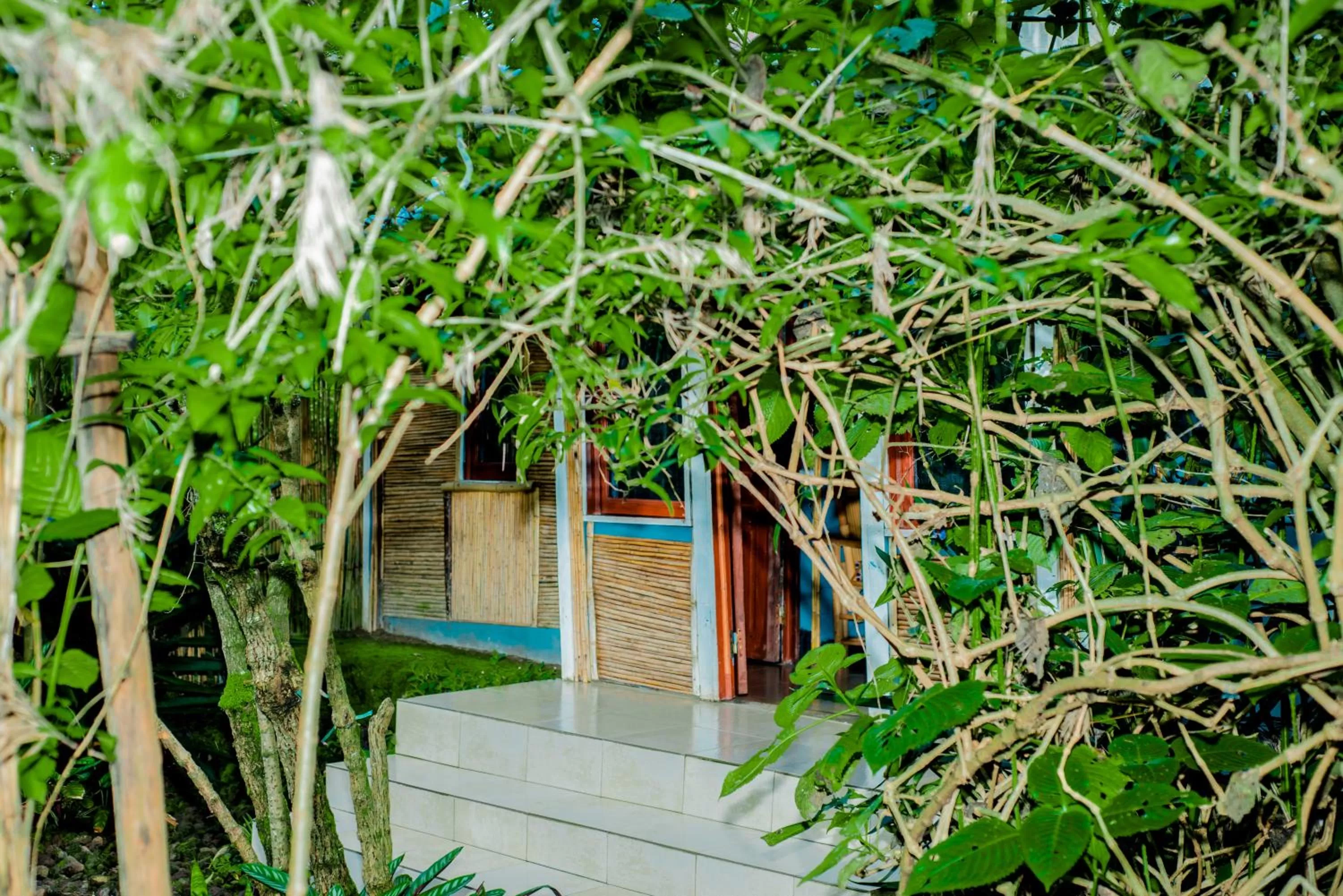 Property Building in Fravan Eco Resort By Apogee