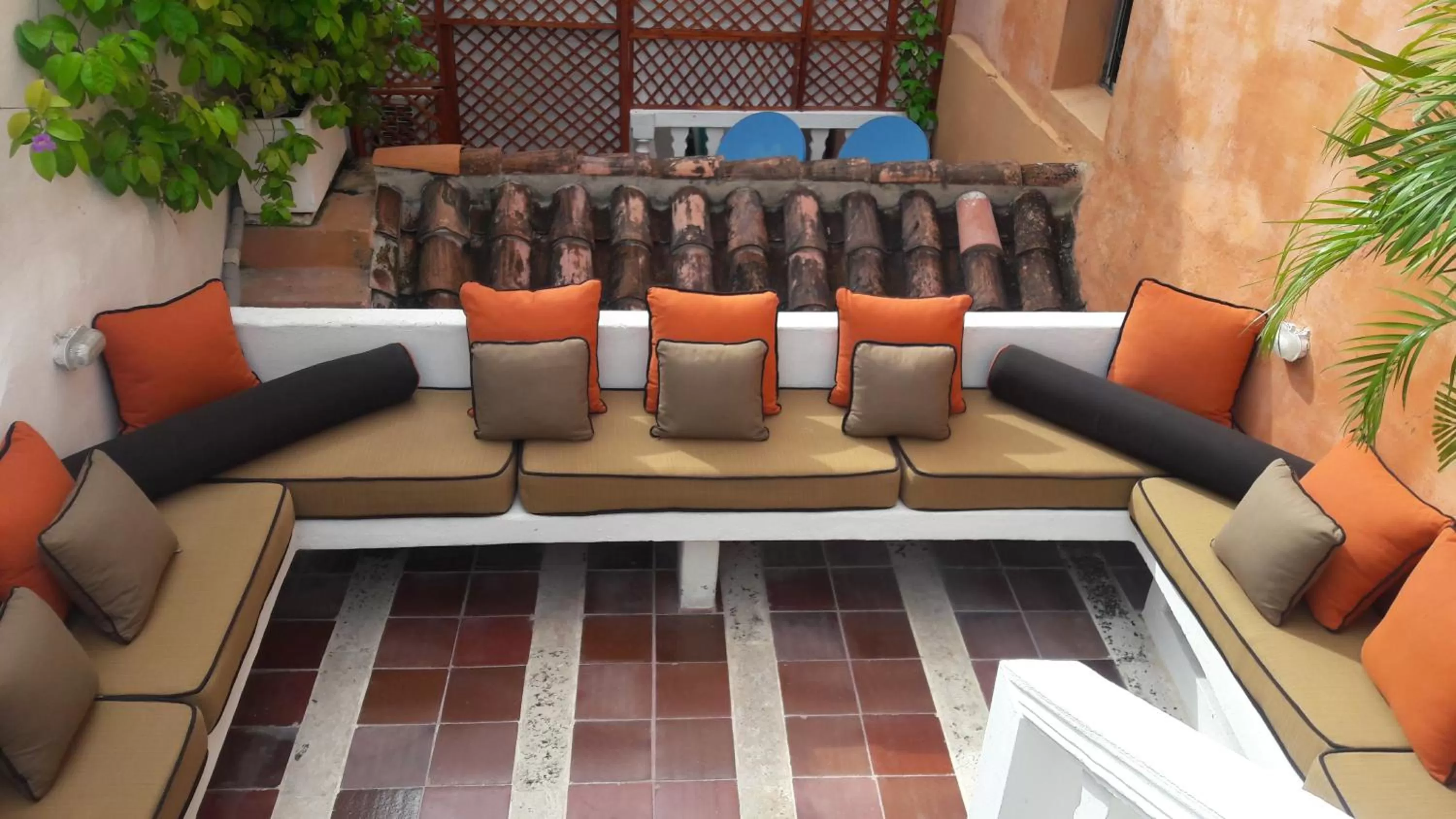 Activities in Hotel Boutique Casa del Coliseo