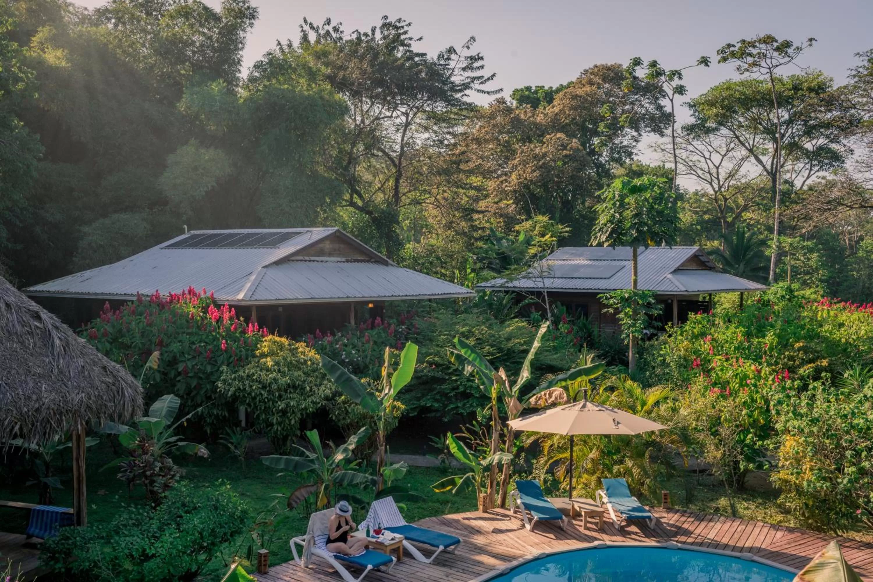 Property building in The Hummingbird