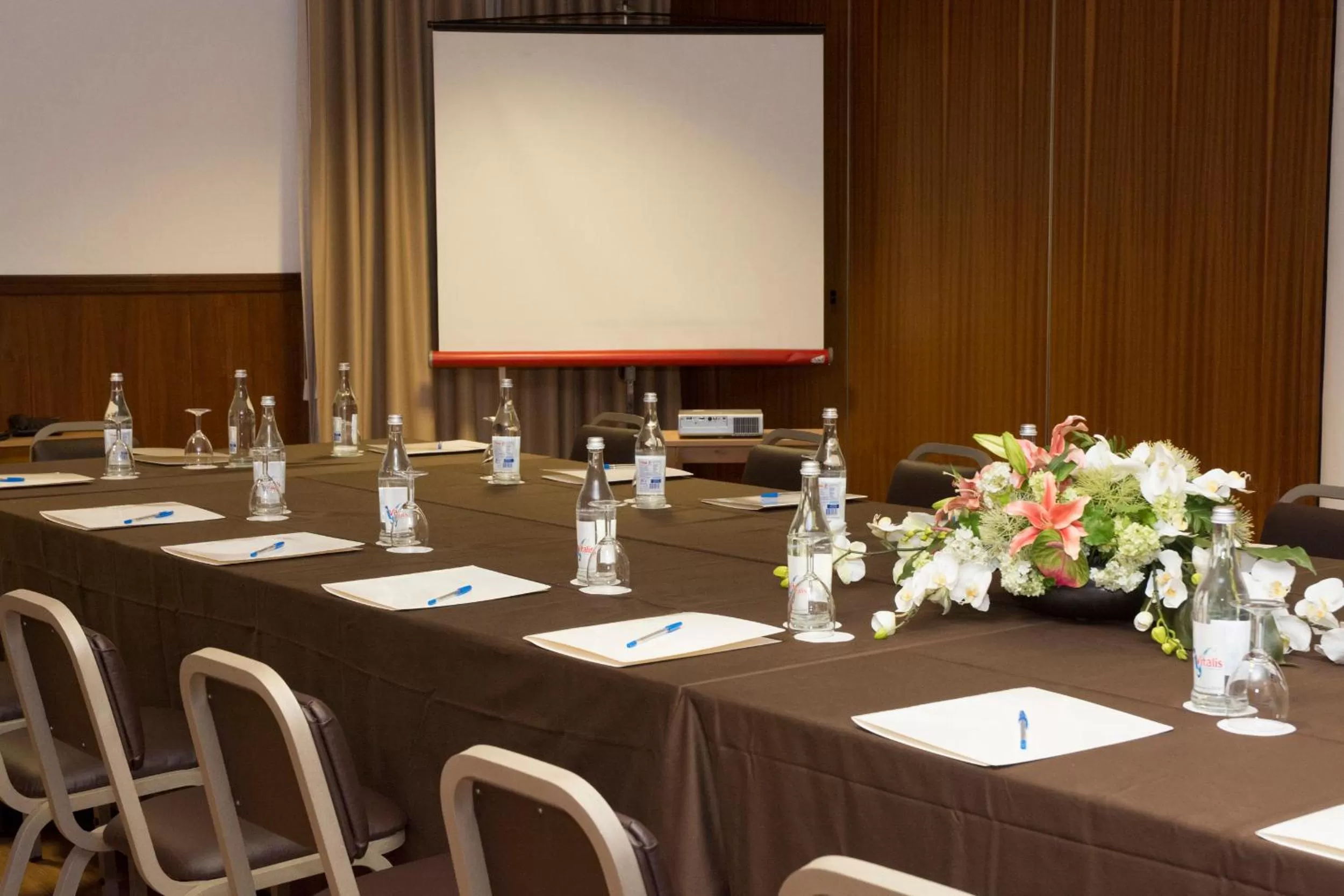 Business facilities in Hotel Rainha D. Amélia, Arts & Leisure