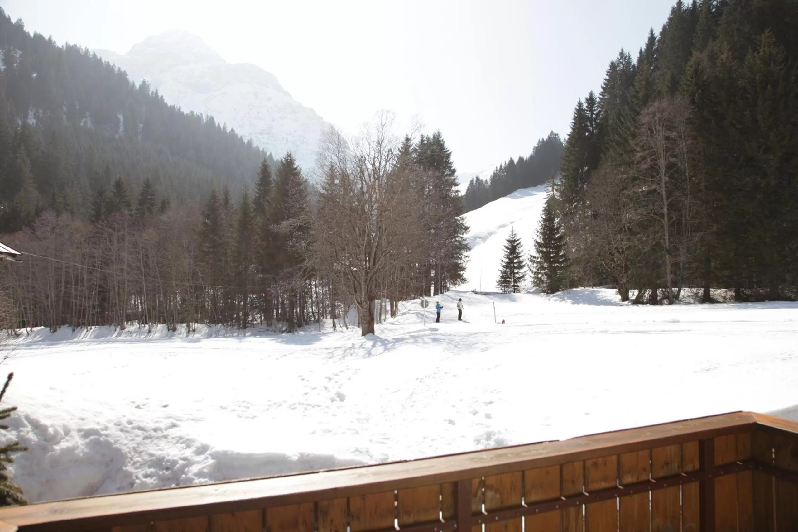 Natural landscape in Haus Derra