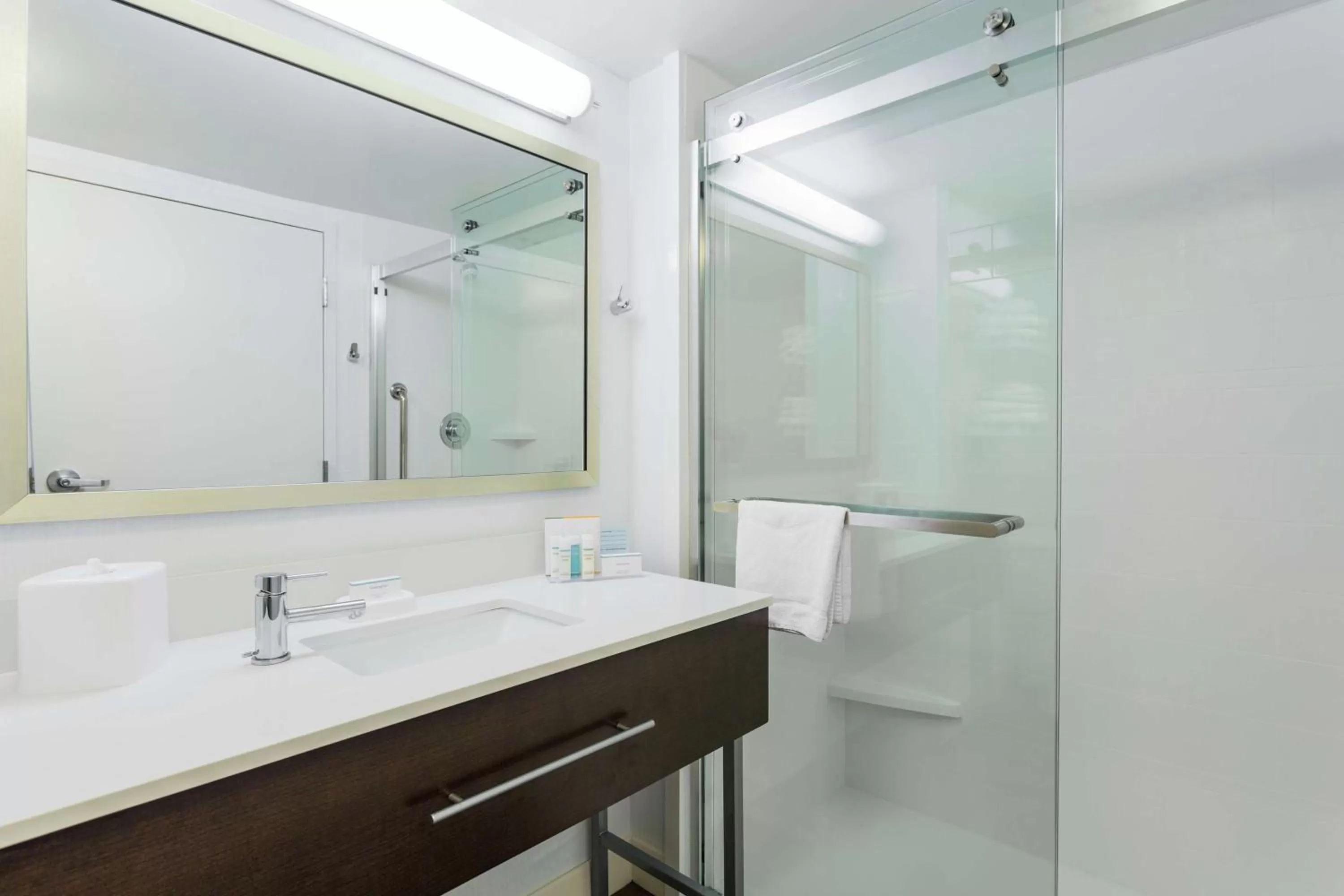 Bathroom in Hampton Inn Manassas