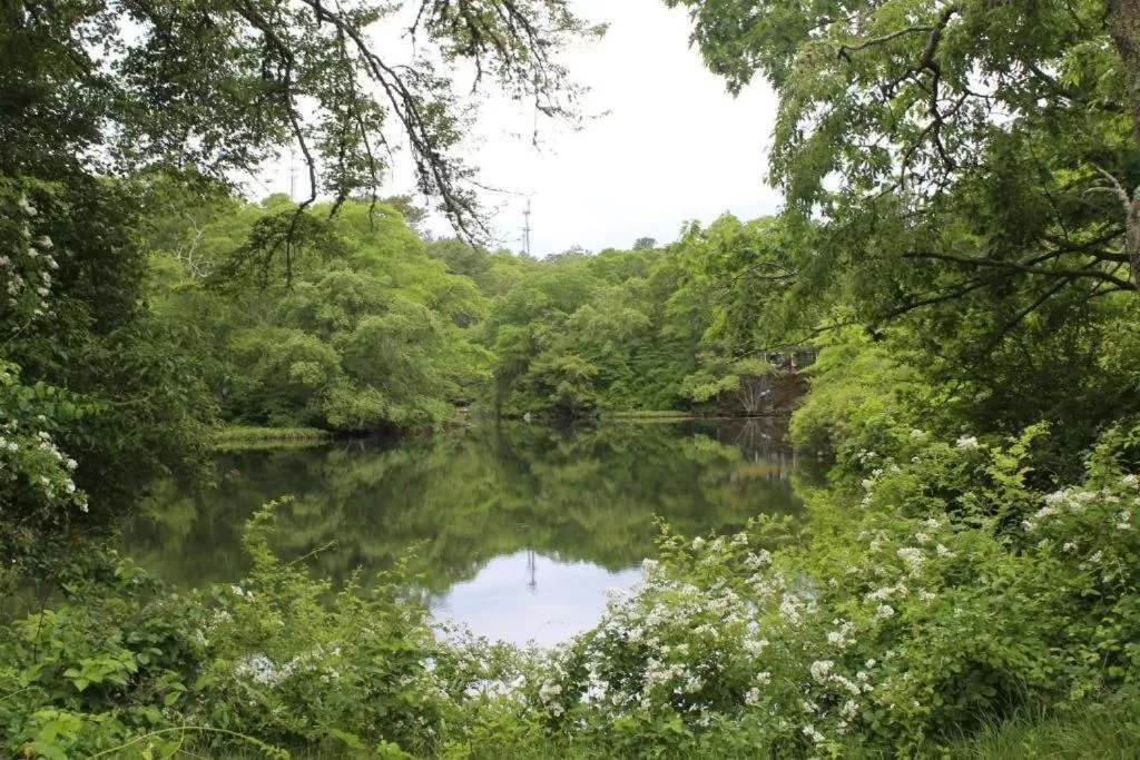 Natural Landscape in Herring Run Motel and Tiny Cabins