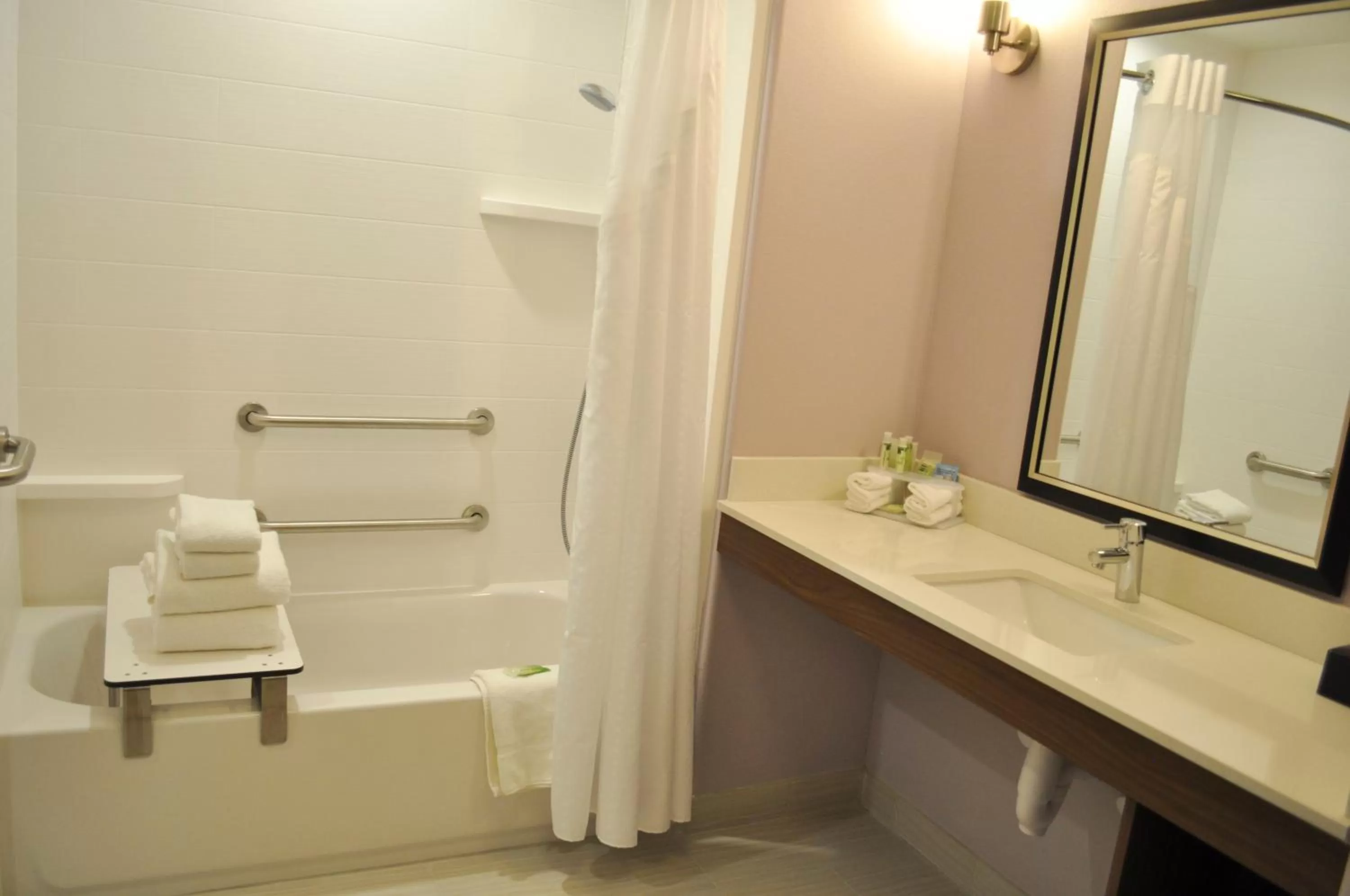 Bathroom in Holiday Inn Express & Suites Price by IHG