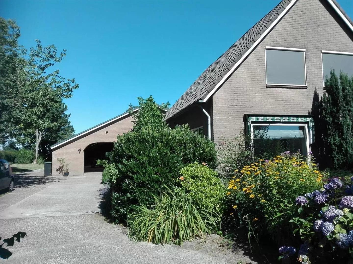 Property Building in Altynghe