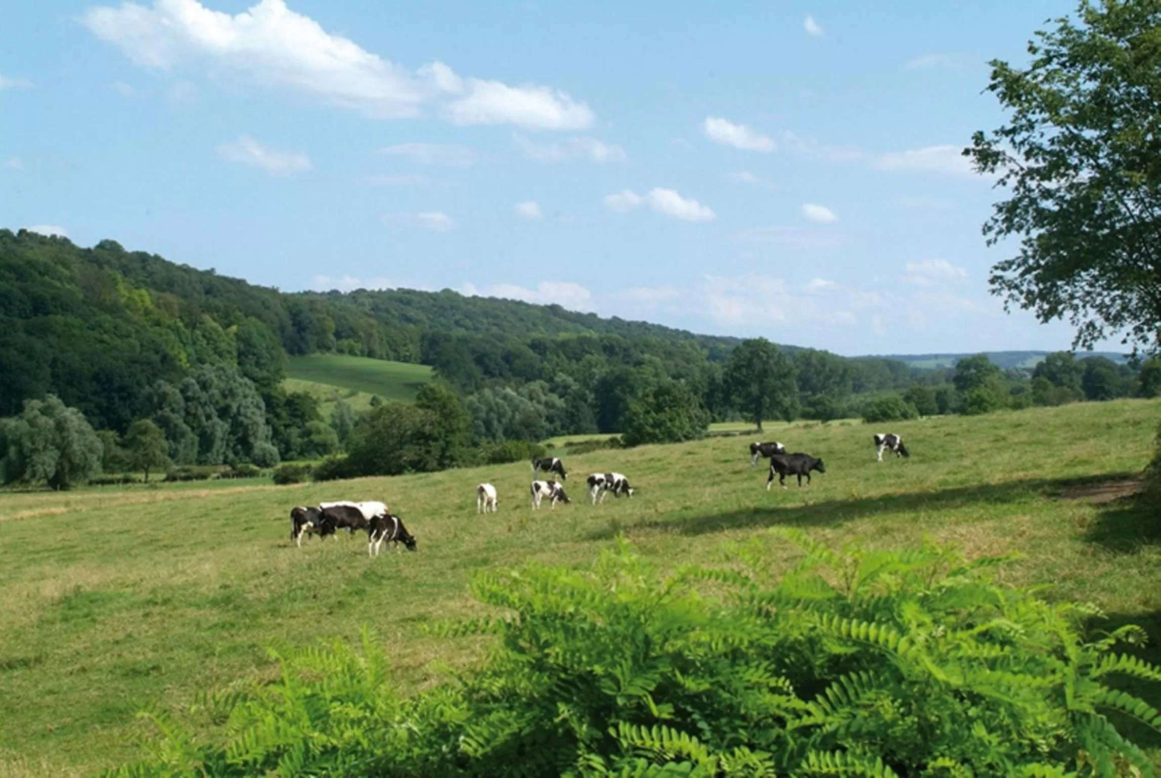 Landmark view in Klein Zwitserland