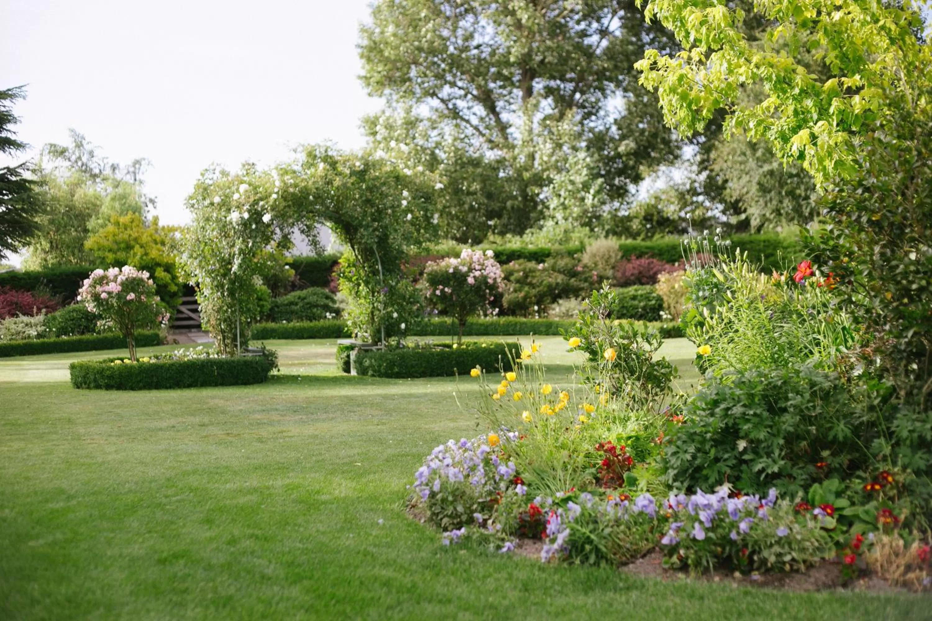 Garden in Hotel Ashburton