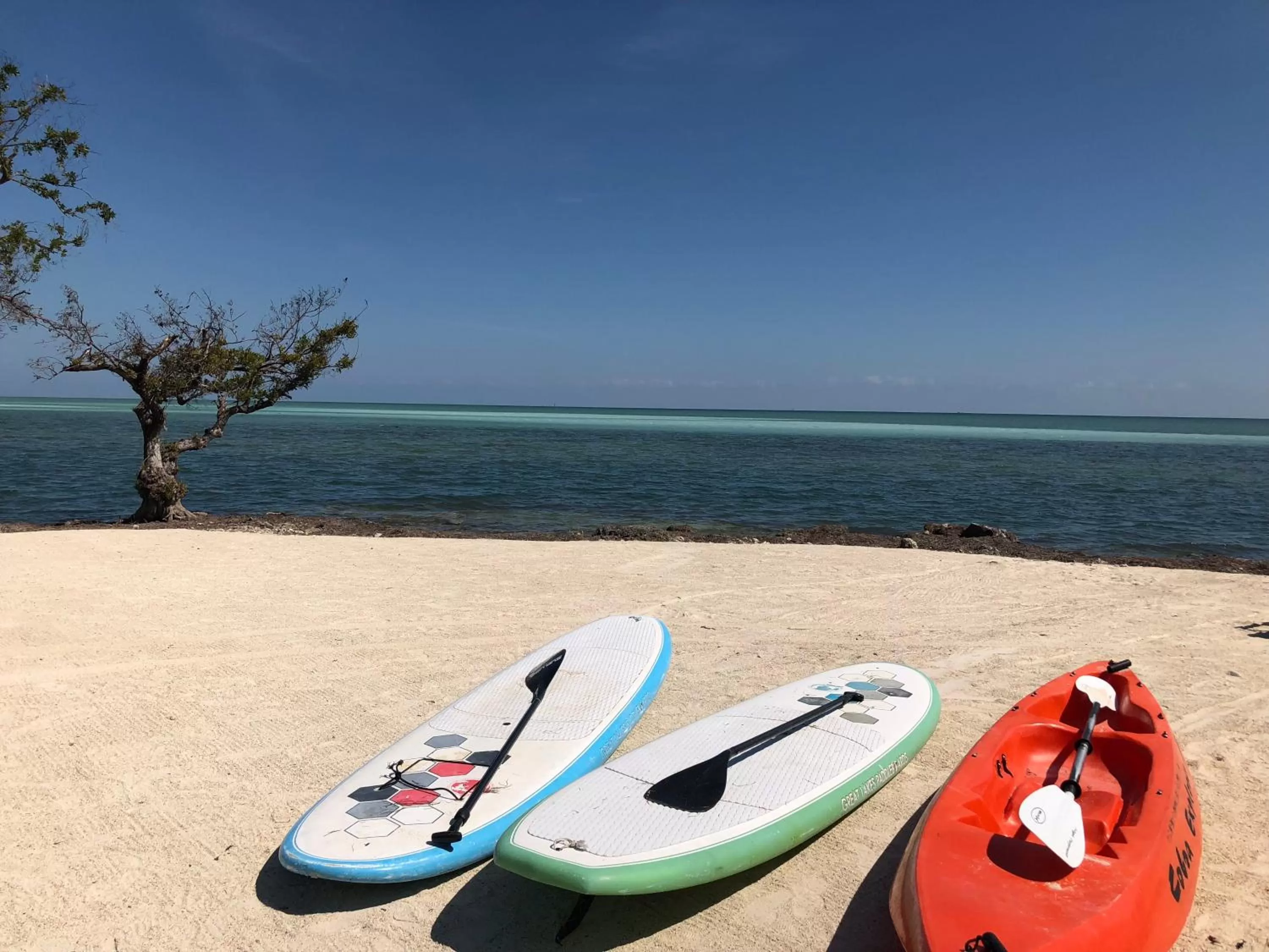 Activities in Seascape Resort & Marina