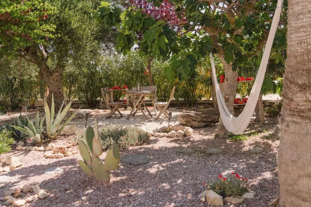 Garden in Sunny Vista