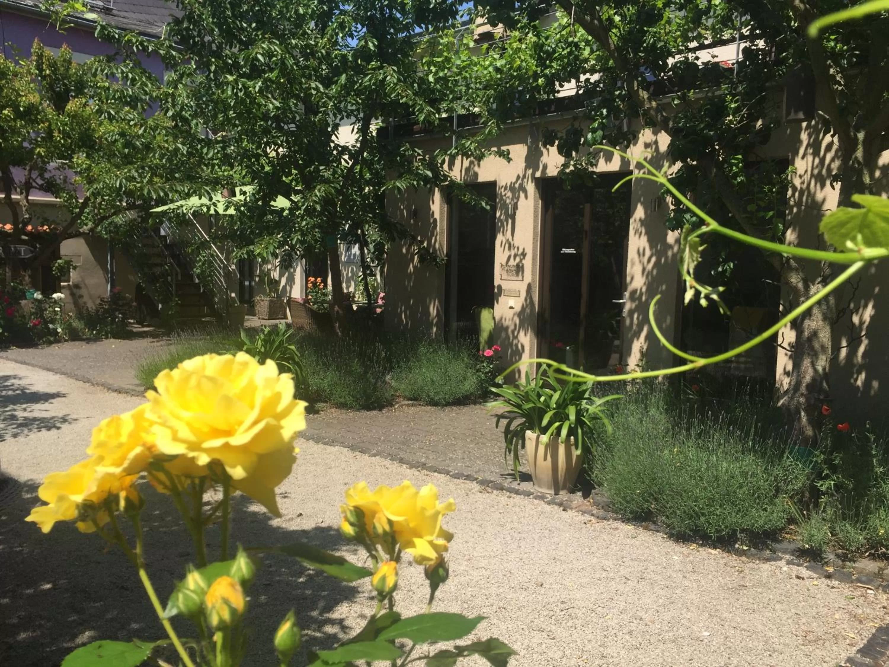 Patio in Jugendstil-Hof