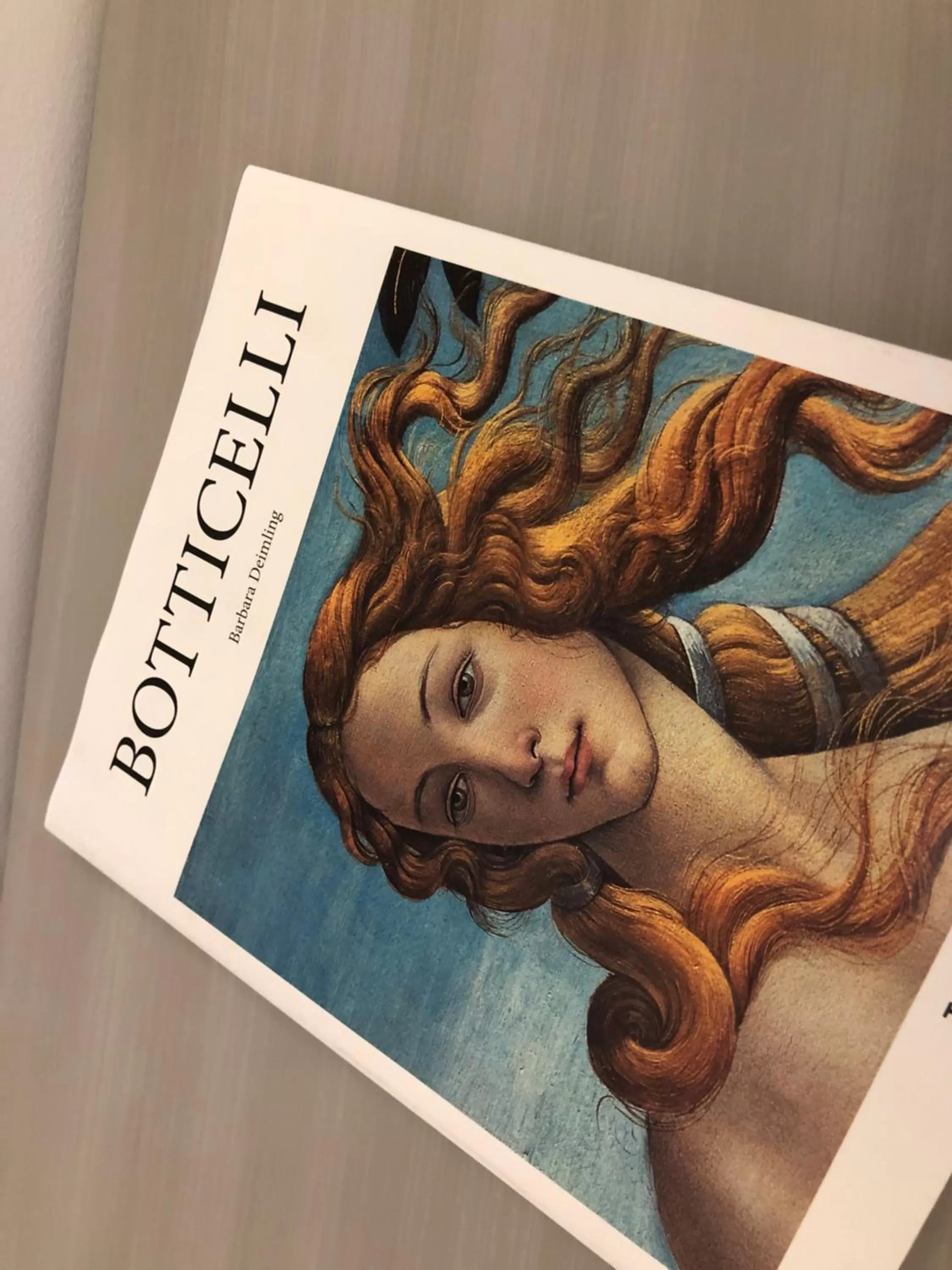 Decorative detail in RarityArt GuestHouse