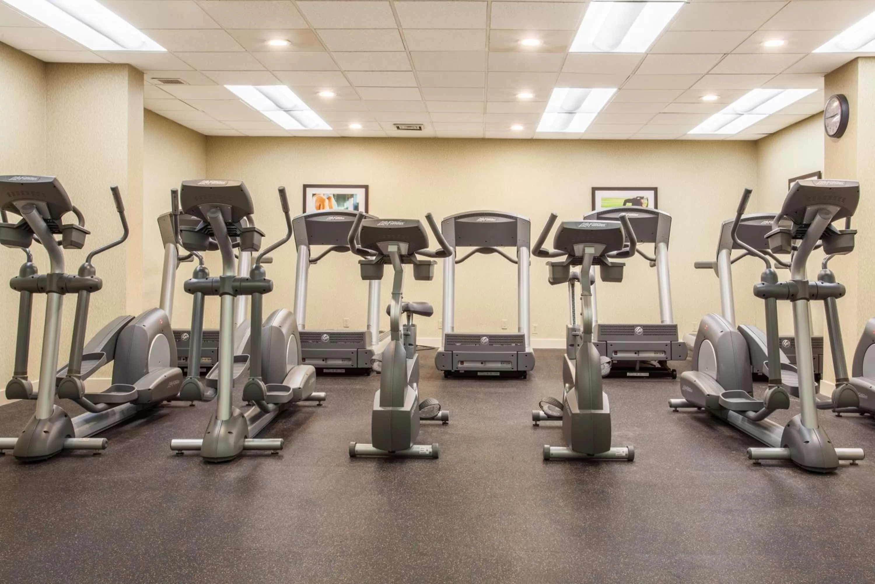 Fitness centre/facilities in Holiday Inn Toronto International Airport by IHG