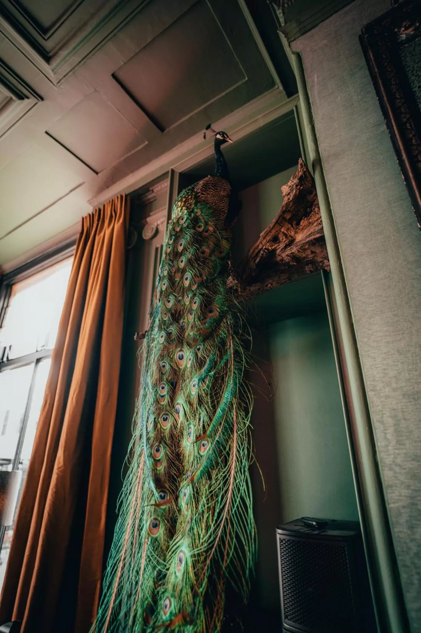 Restaurant/places to eat in Boutiquehotel 't Gerecht