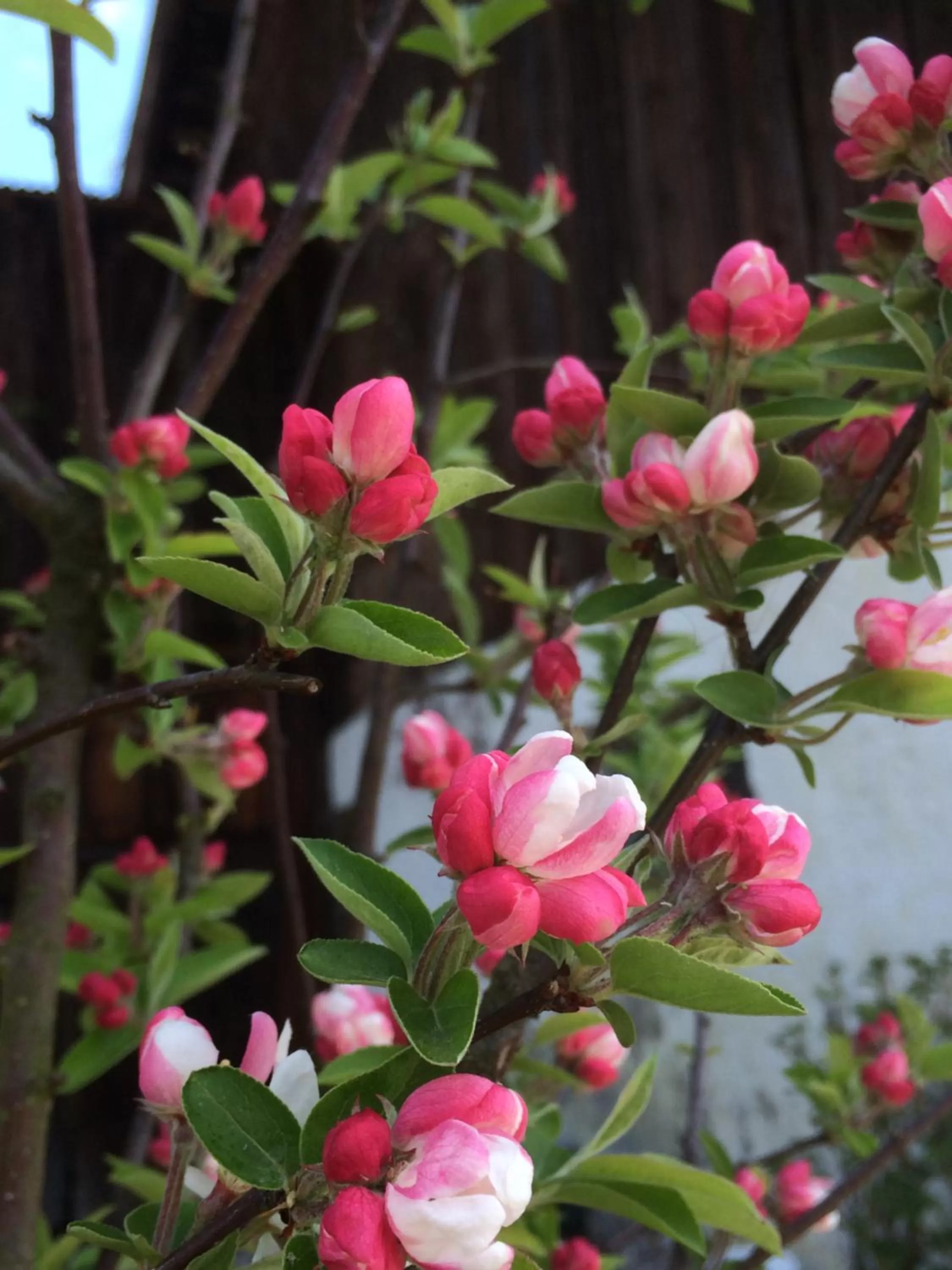 Other in Gasthof Herrnhaus