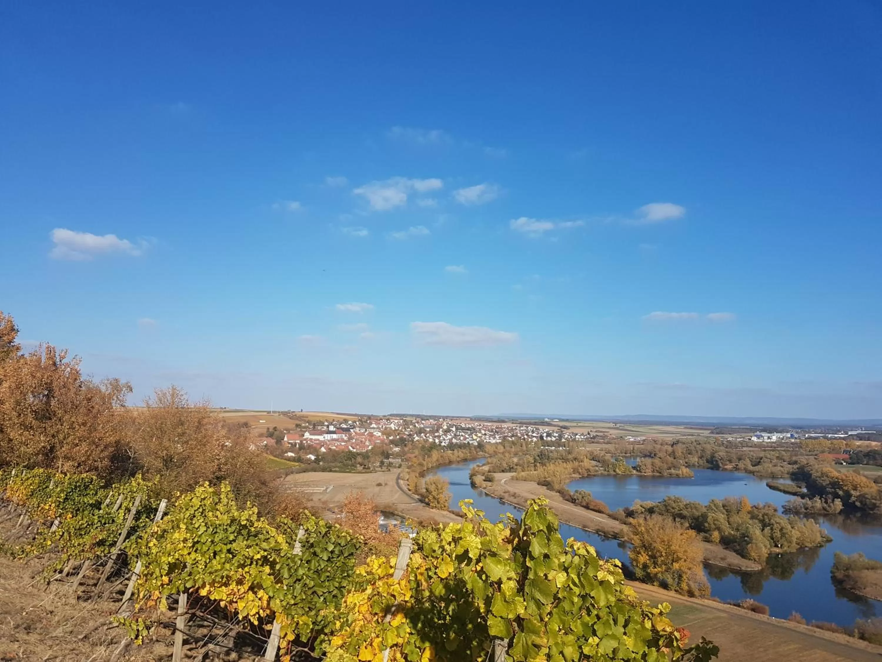 Natural landscape in Aparthotel Alte Schmiede Dettelbach