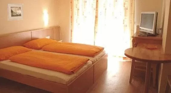 Double Room in Alpen Experience Apart Hotel