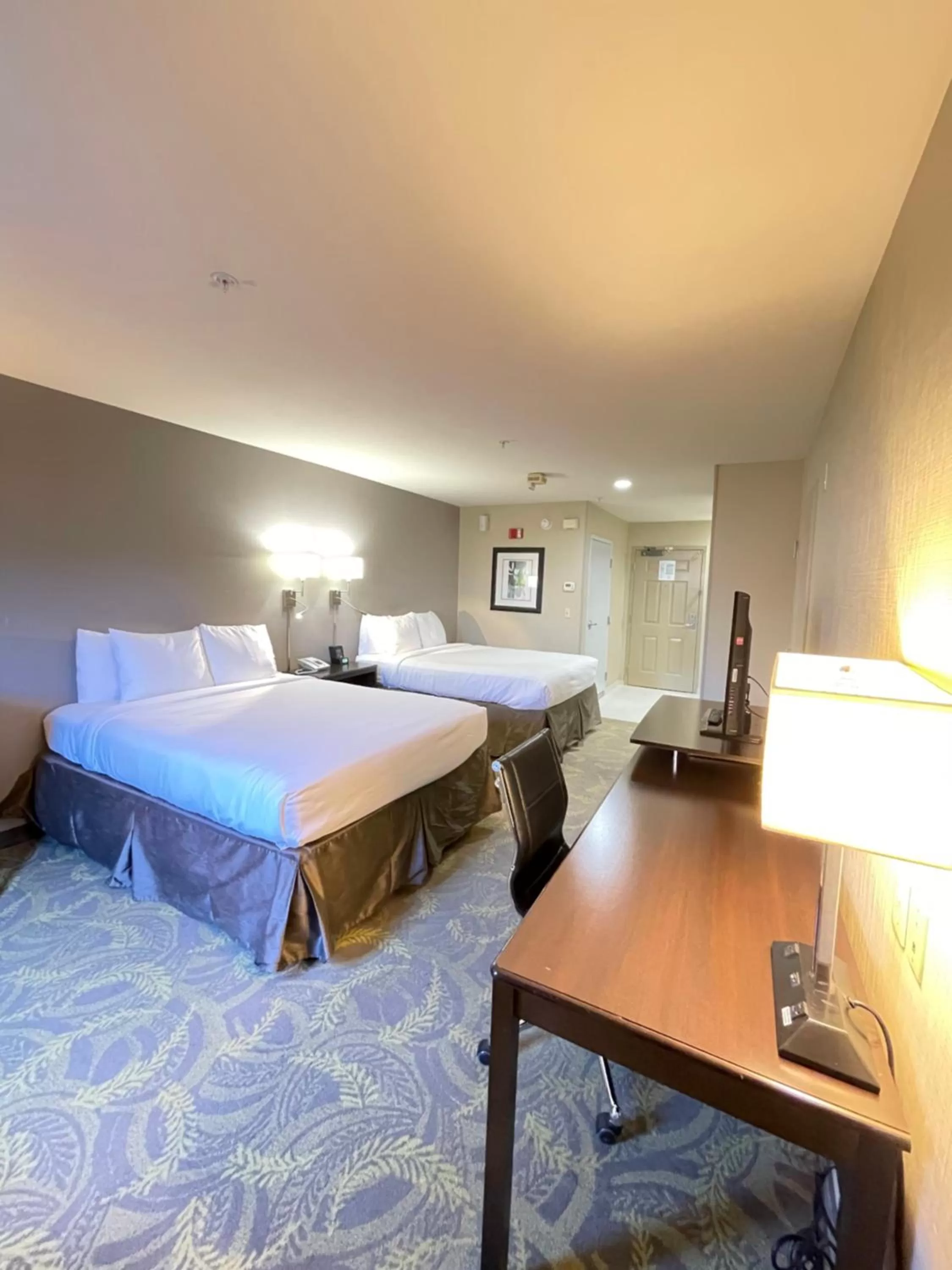 Guests, Bed in Country Inn & Suites by Radisson, San Carlos, CA