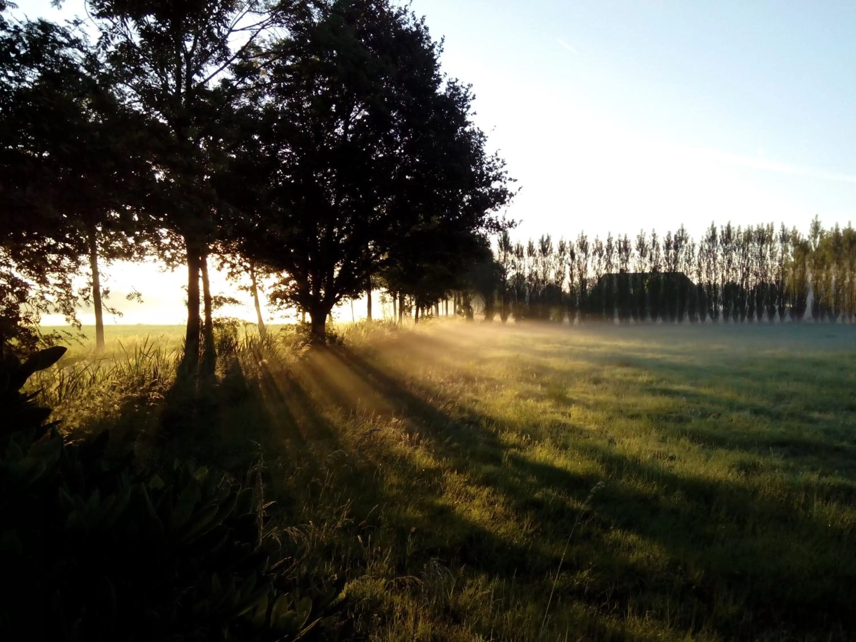 View (from property/room) in B&B In de Wei