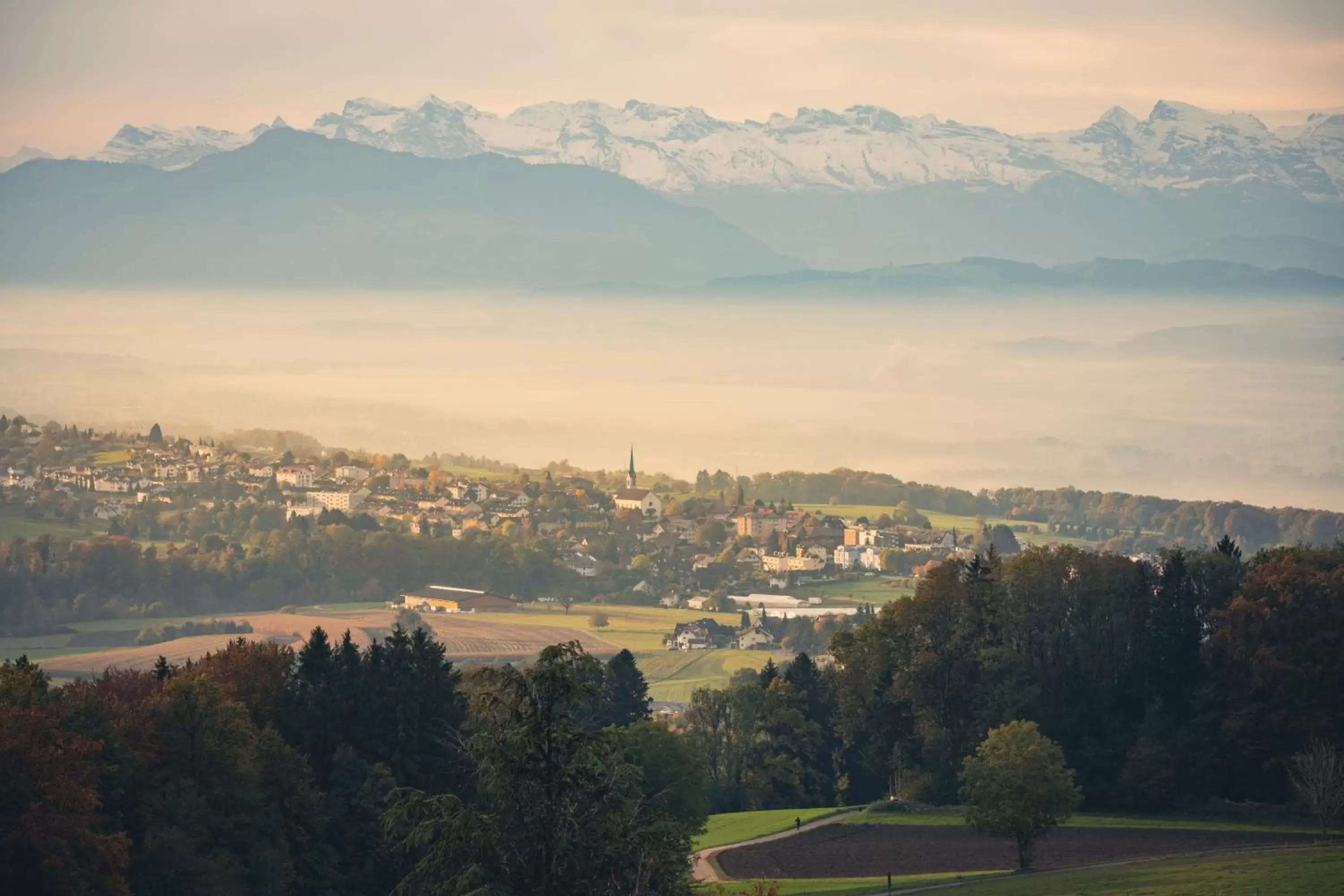 Monardo Hasenberg Monardo Hasenberg