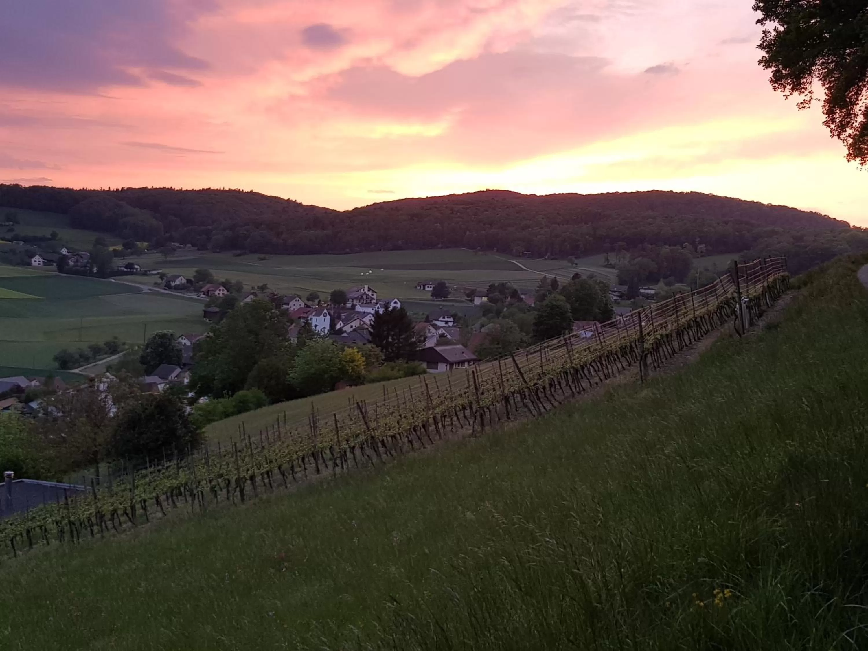 Natural landscape in BnB Mönthal im Jurapark