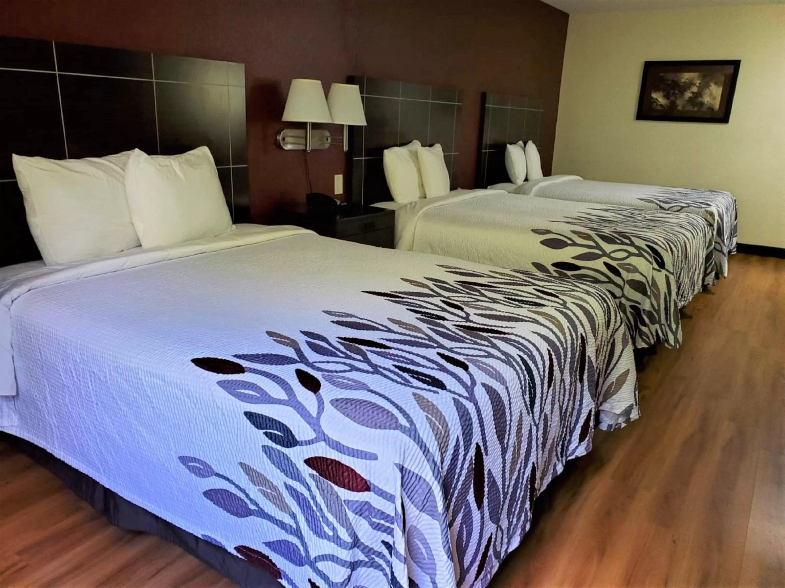 Photo of the whole room, Bed in Red Roof Inn San Marcos