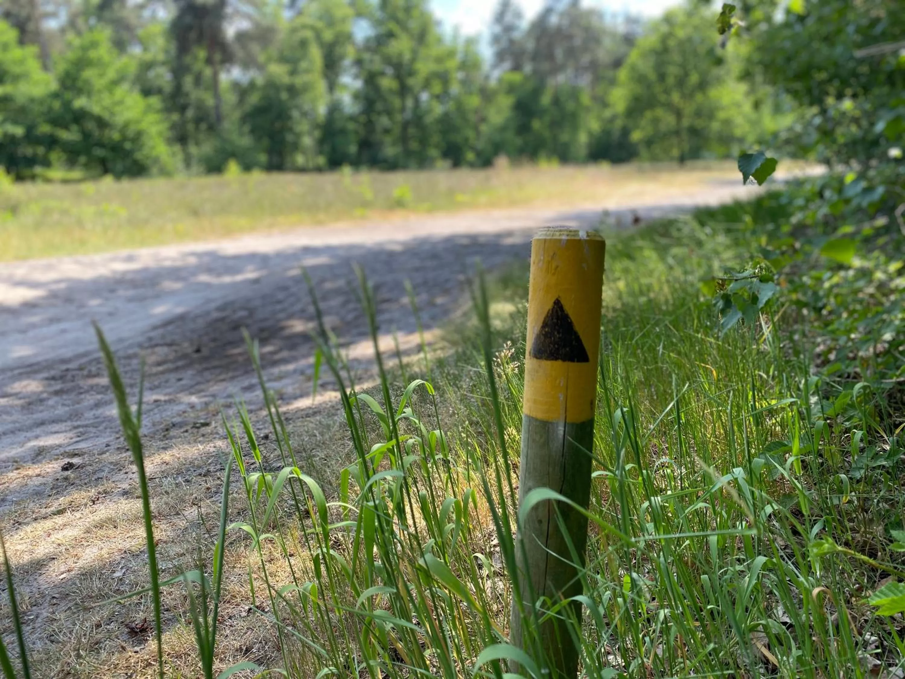 Natural landscape in Hotel Kapellerput Heeze-Eindhoven