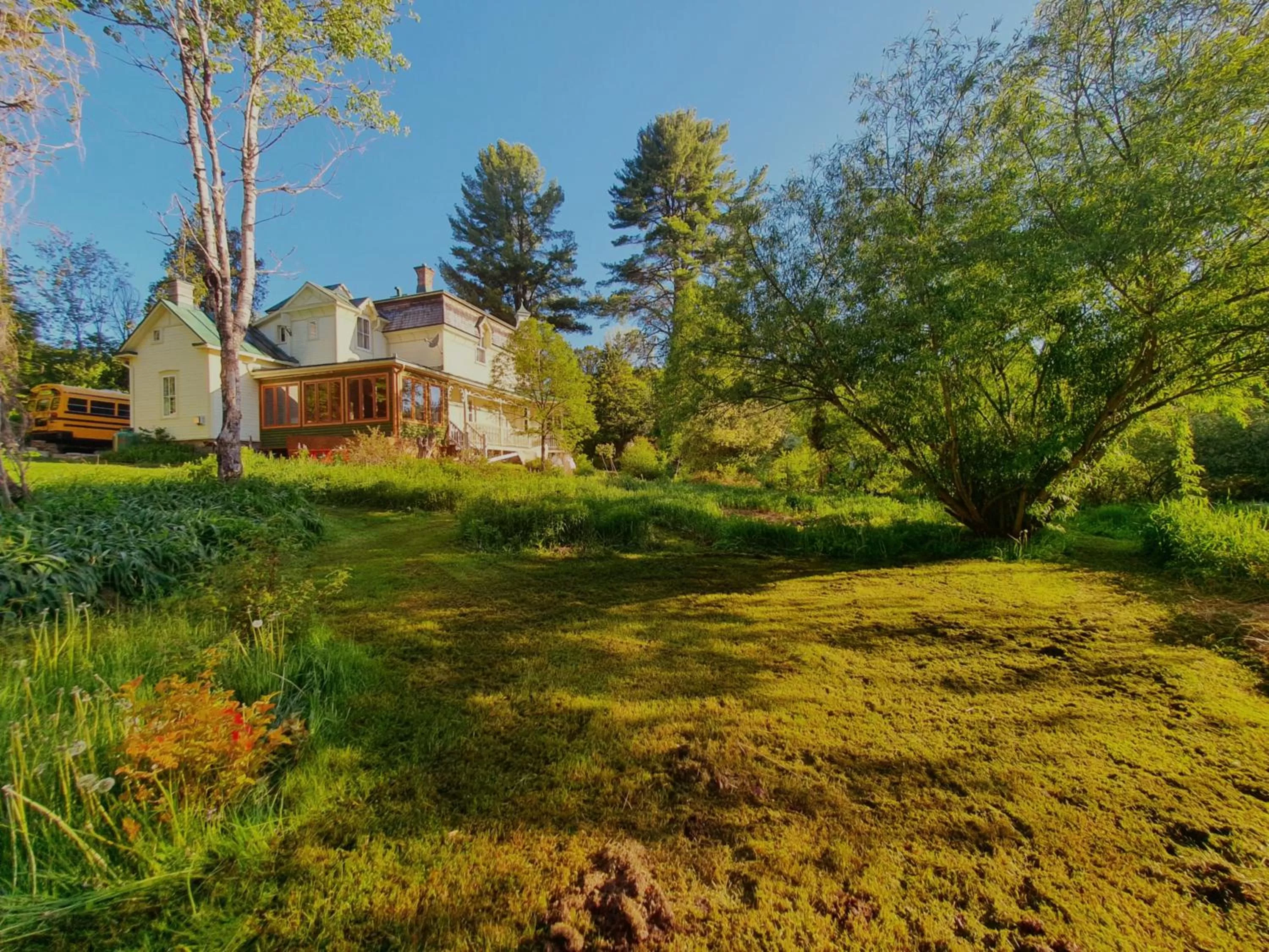 Natural landscape in Le Salon des Inconnus