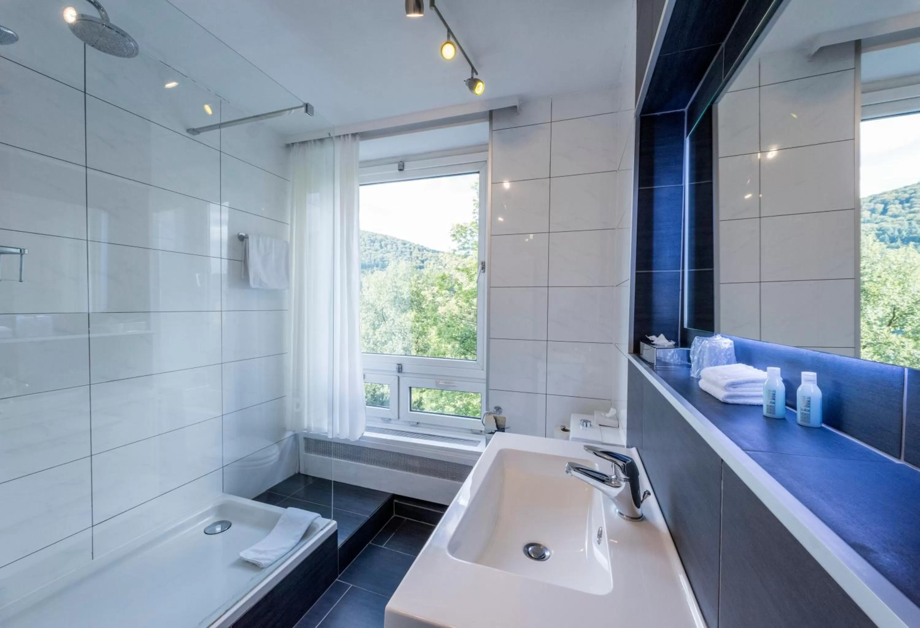 Bathroom in Parkhotel Atlantic