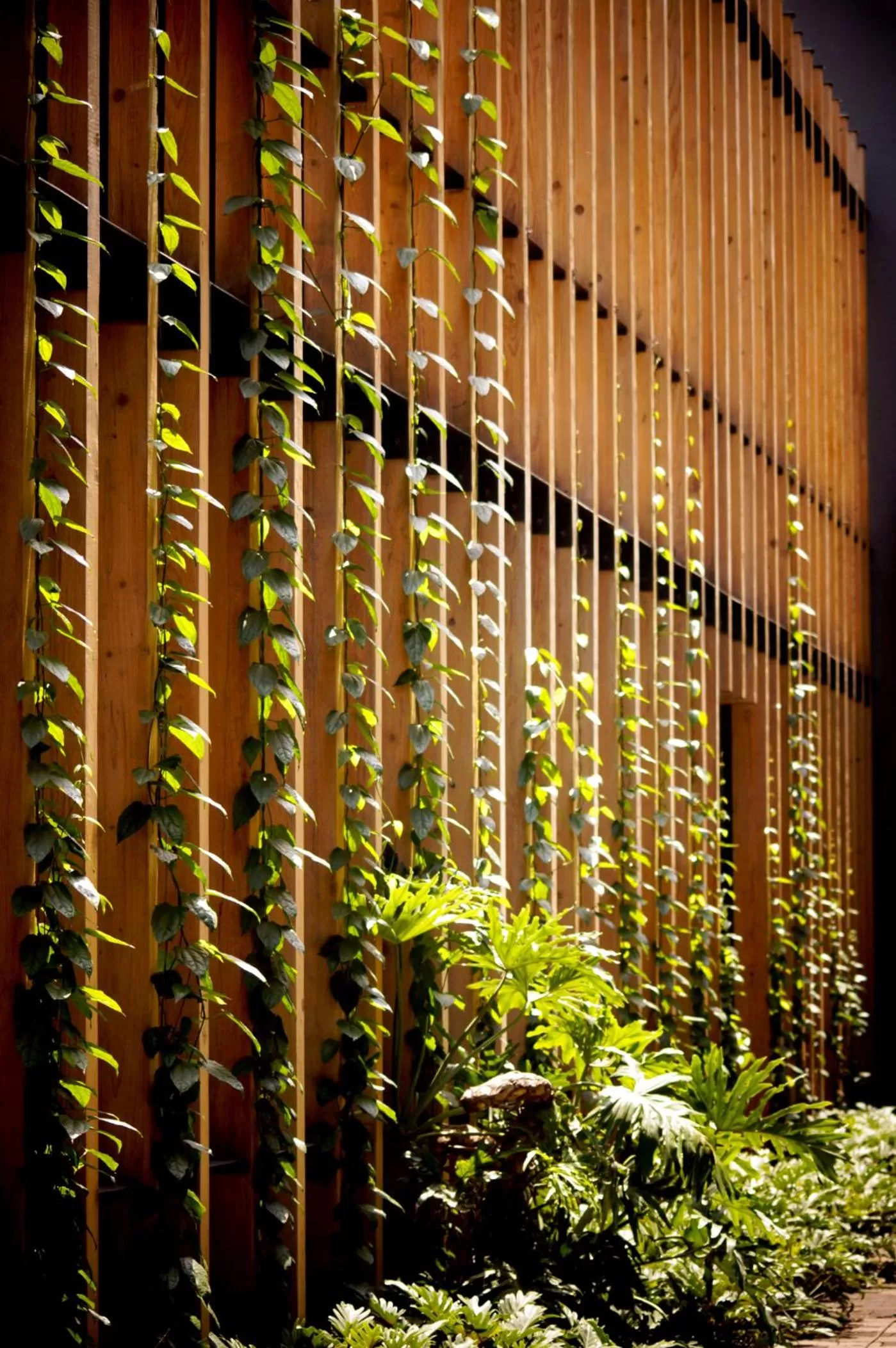 Garden view in Cinco Rodavento