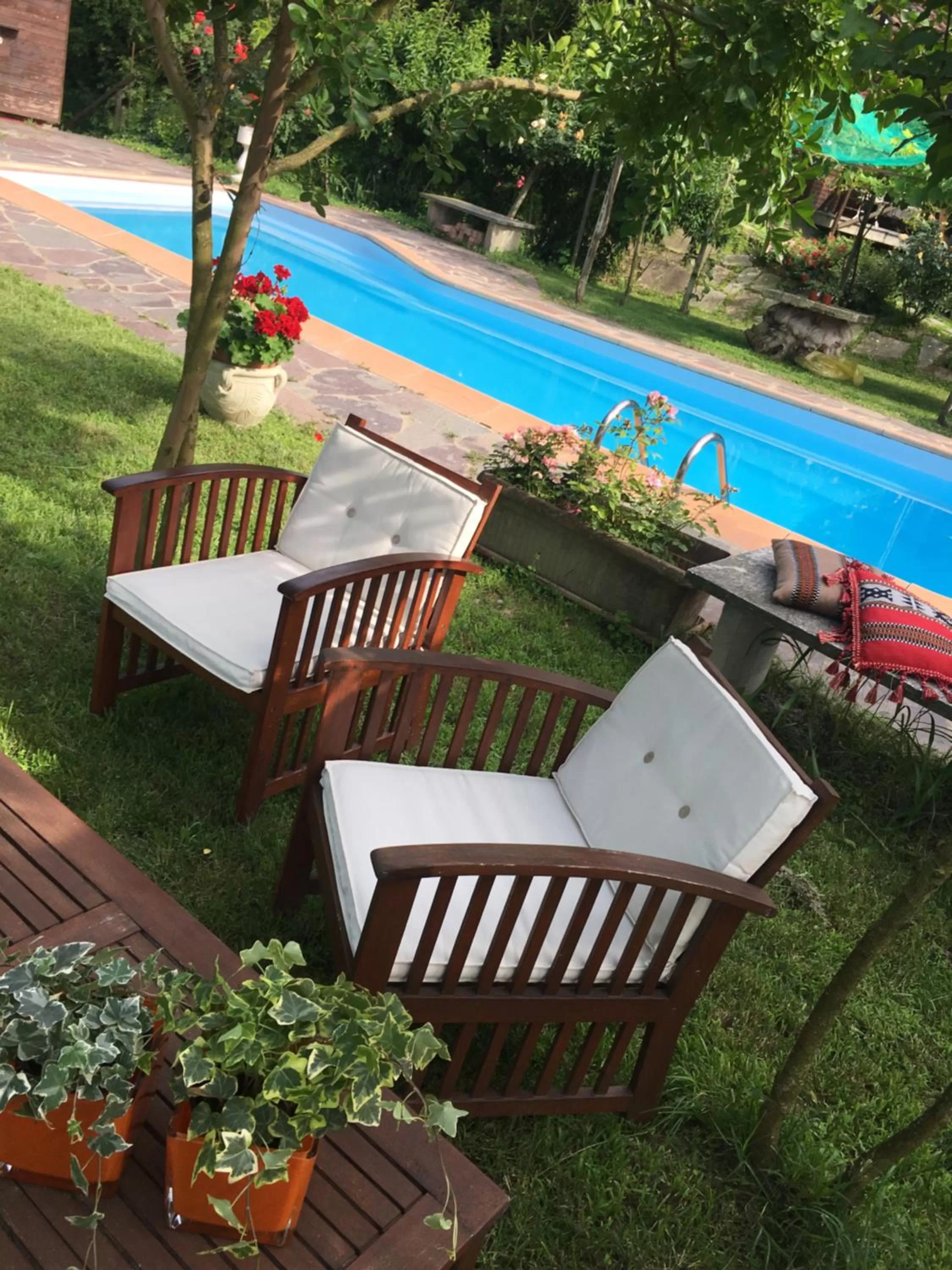 Rossella alla Villarella dei Tulipani