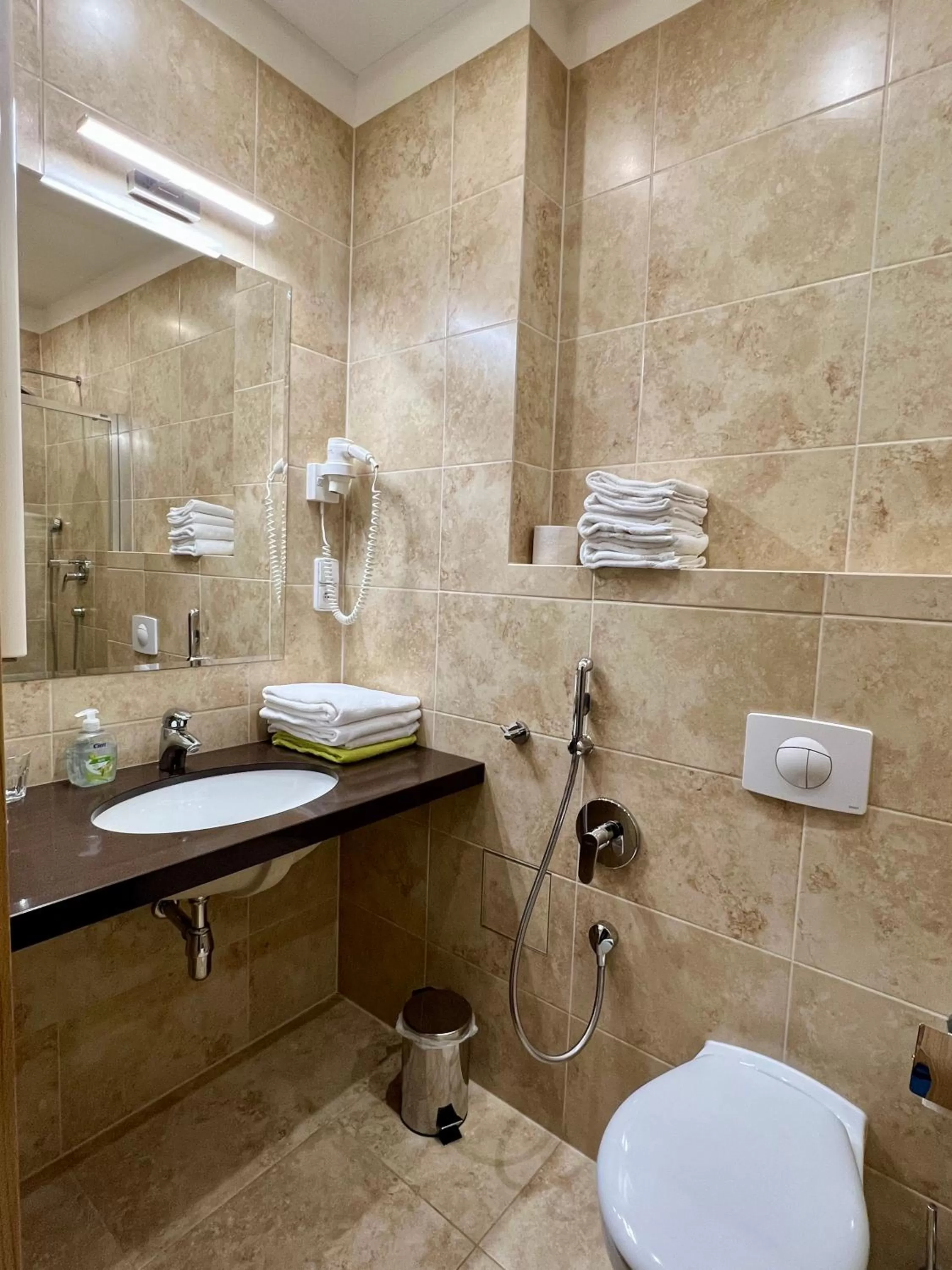 Toilet in Zlatý Sloup