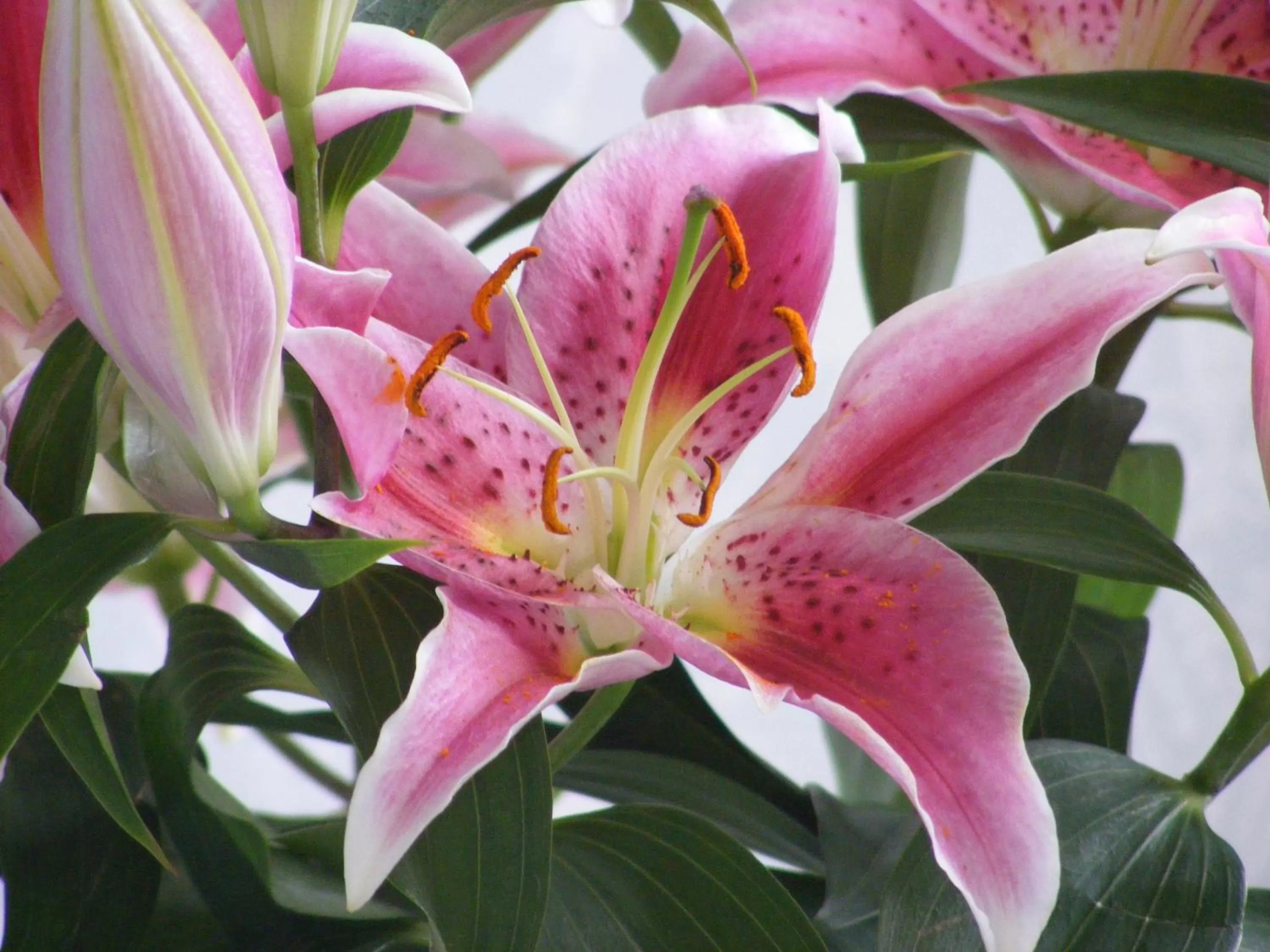 Day in The Old Lodge