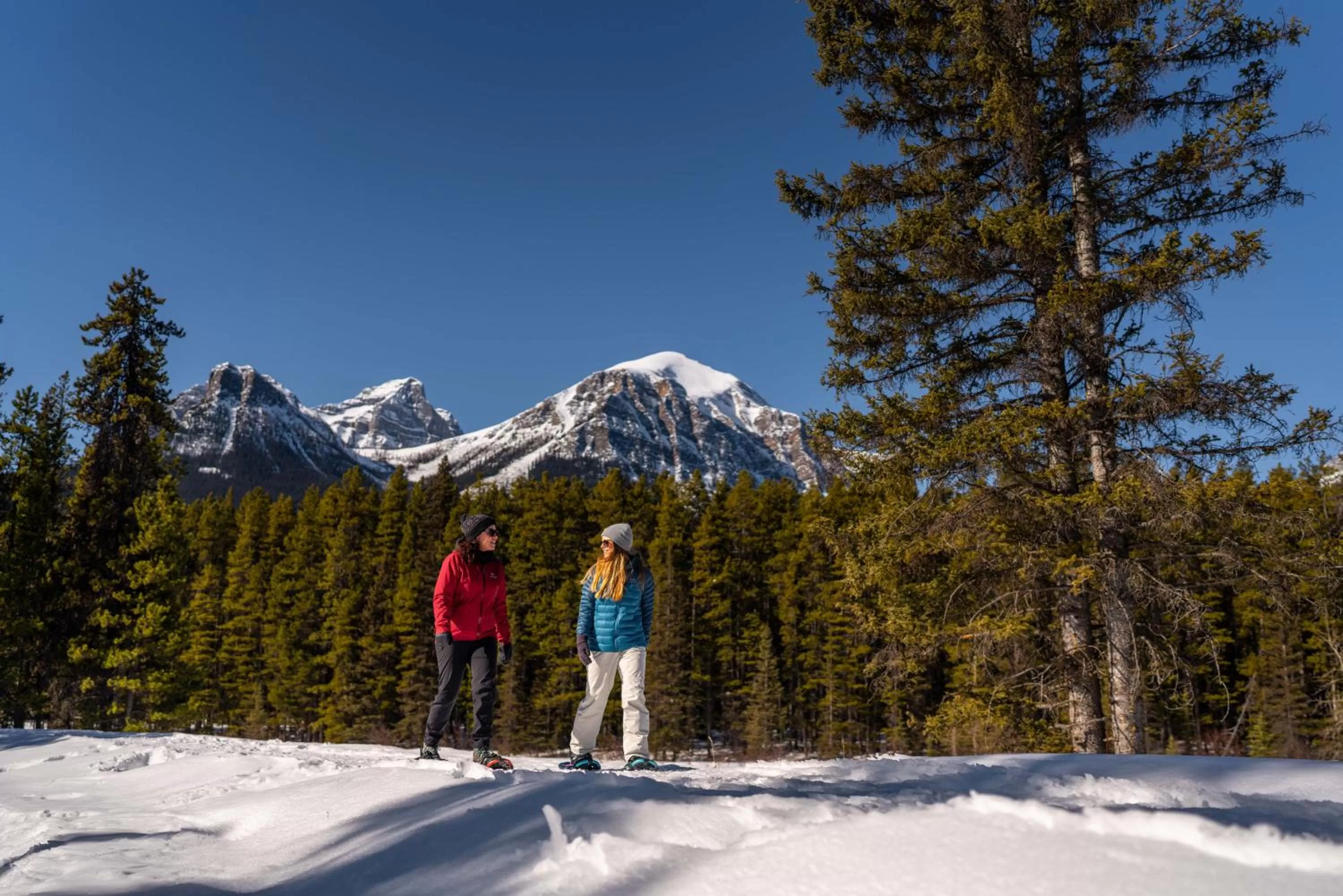 Area and facilities in Lake Louise Inn