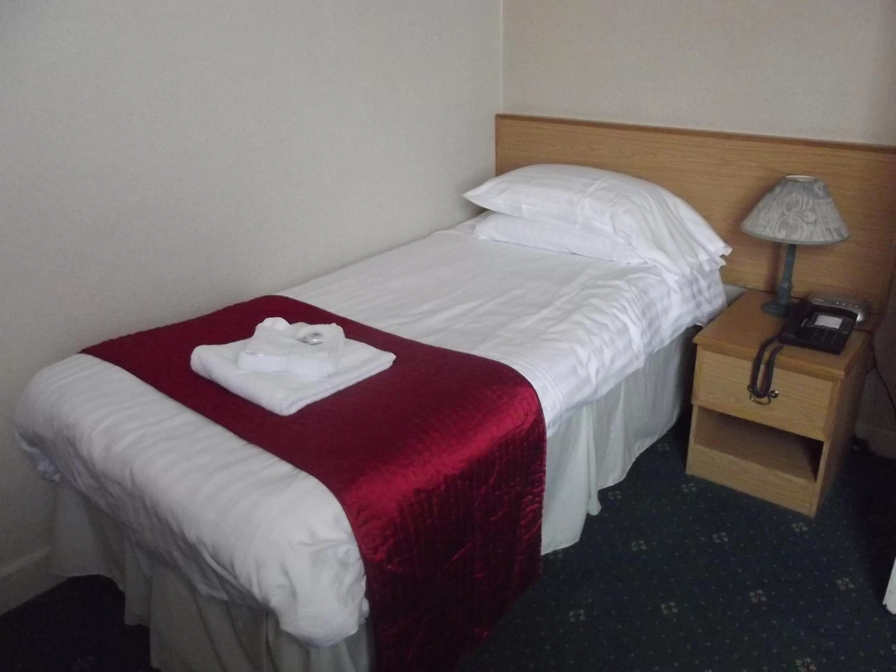 Single Room in Plas Coch Hotel Ltd