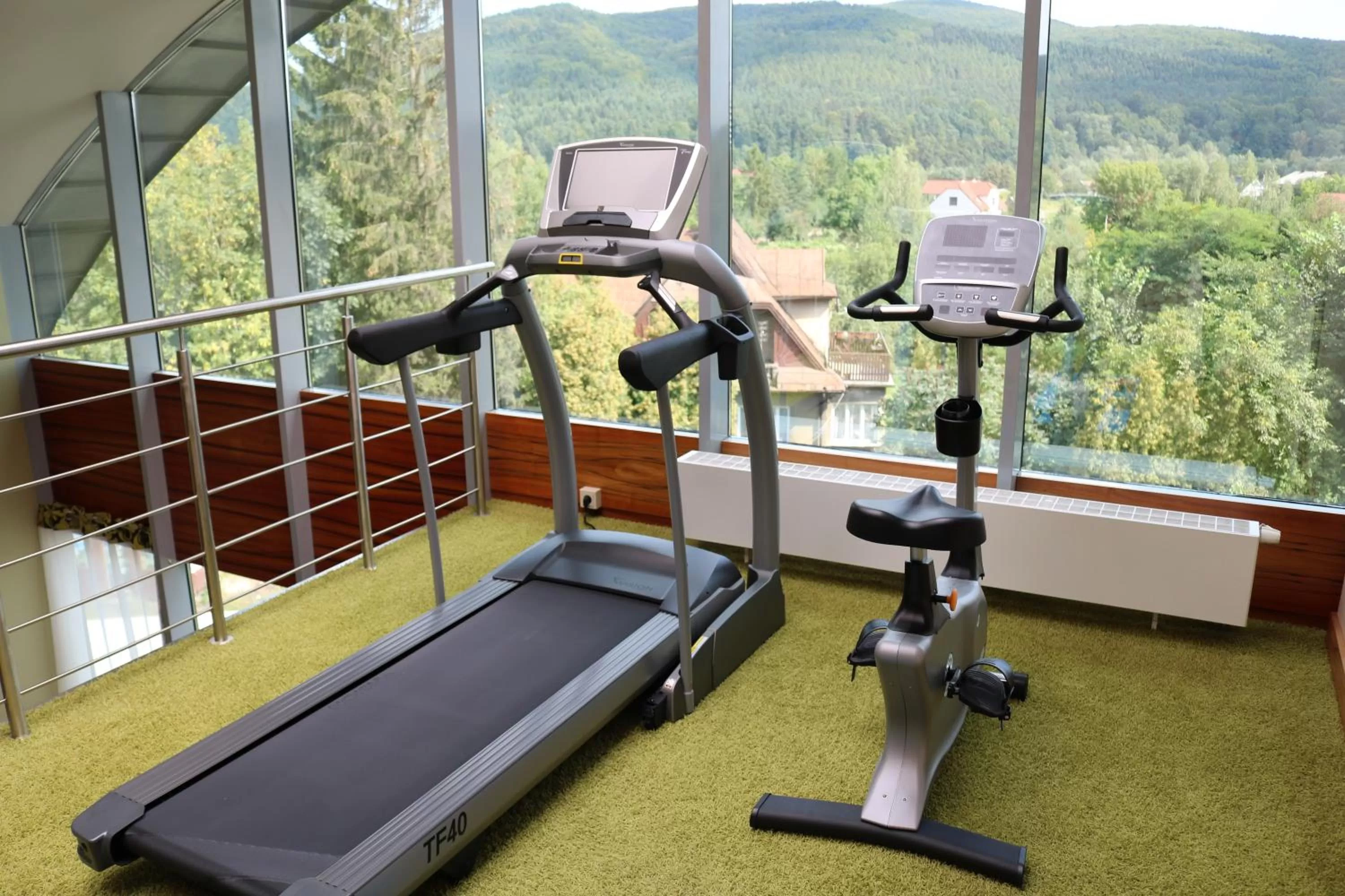 View (from property/room) in Młyn Jacka Hotel & Spa