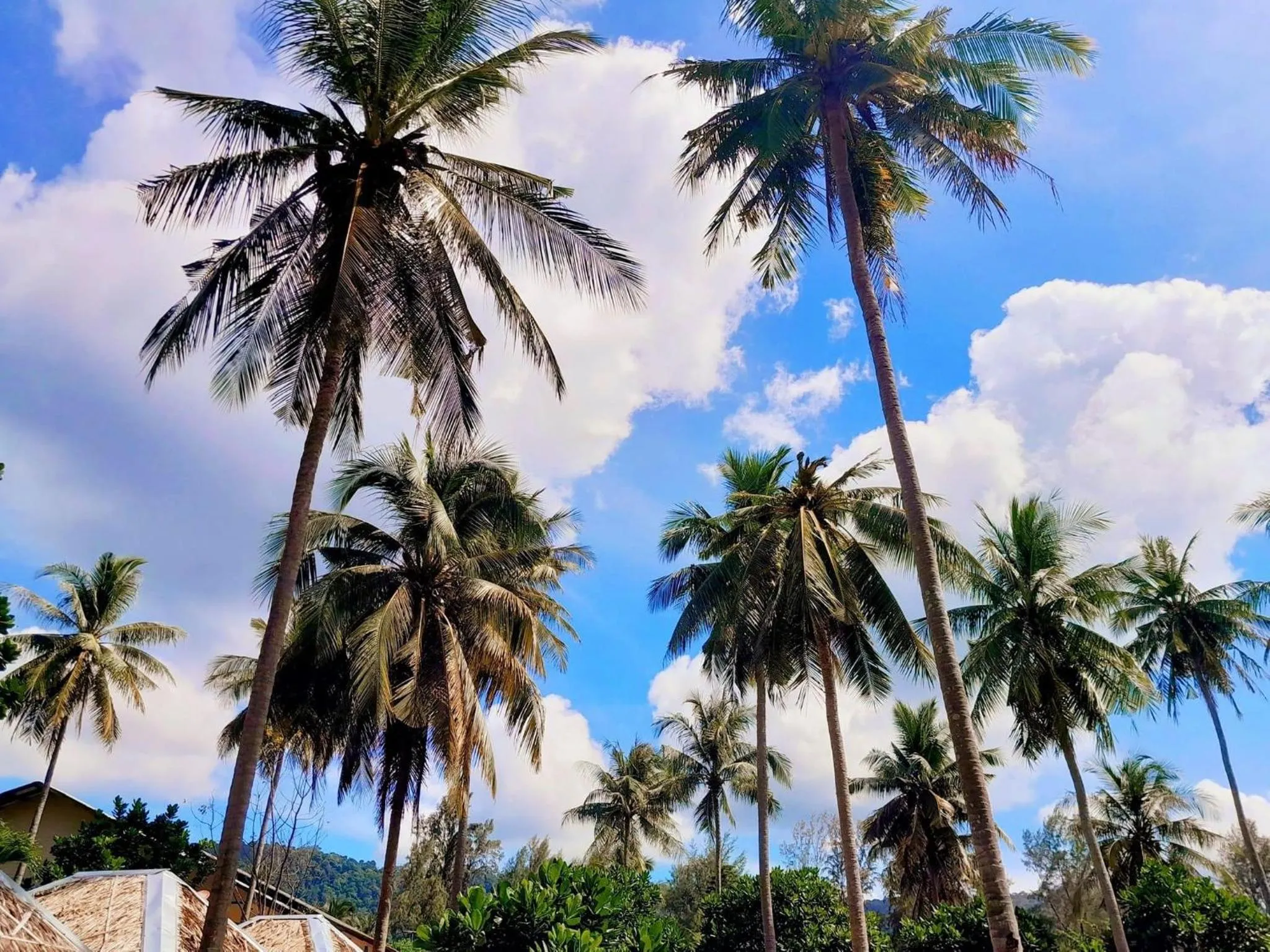 Day in Lanta L.D. Beach Bungalow